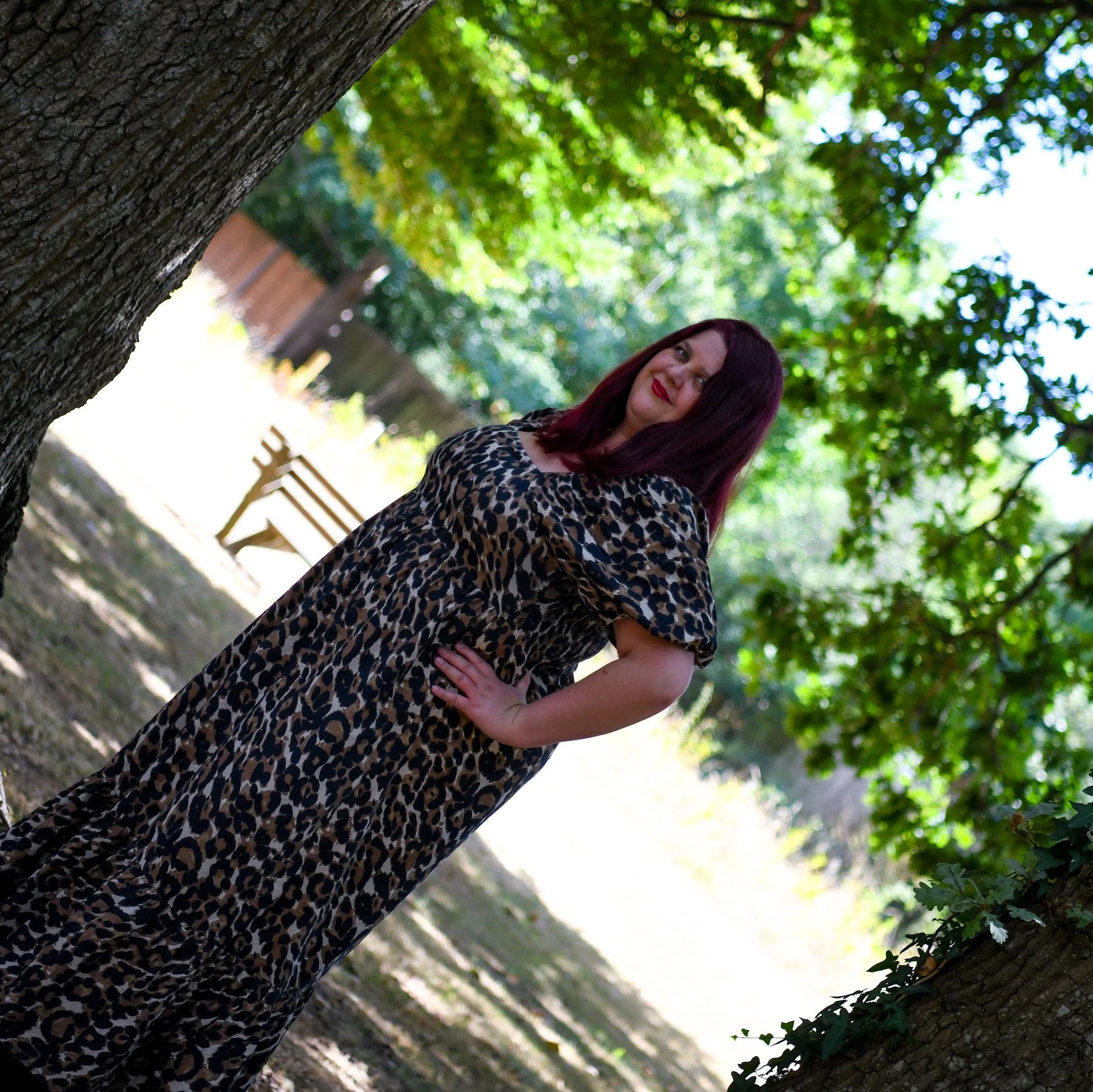 DSC_2539.jpg
