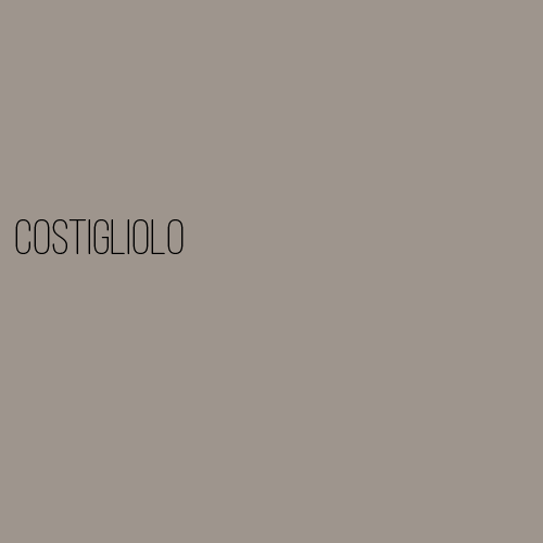 Costi_cover-01.png