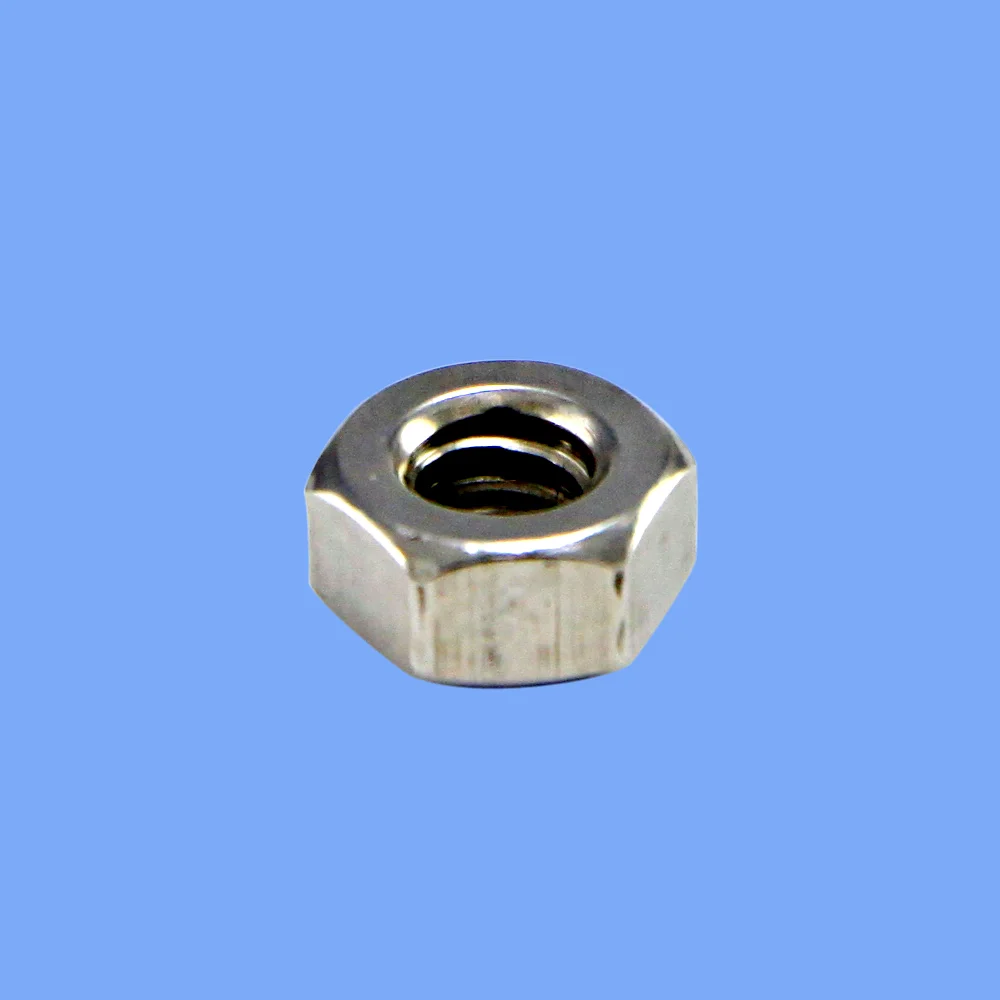Stainless Steel Hex Nut