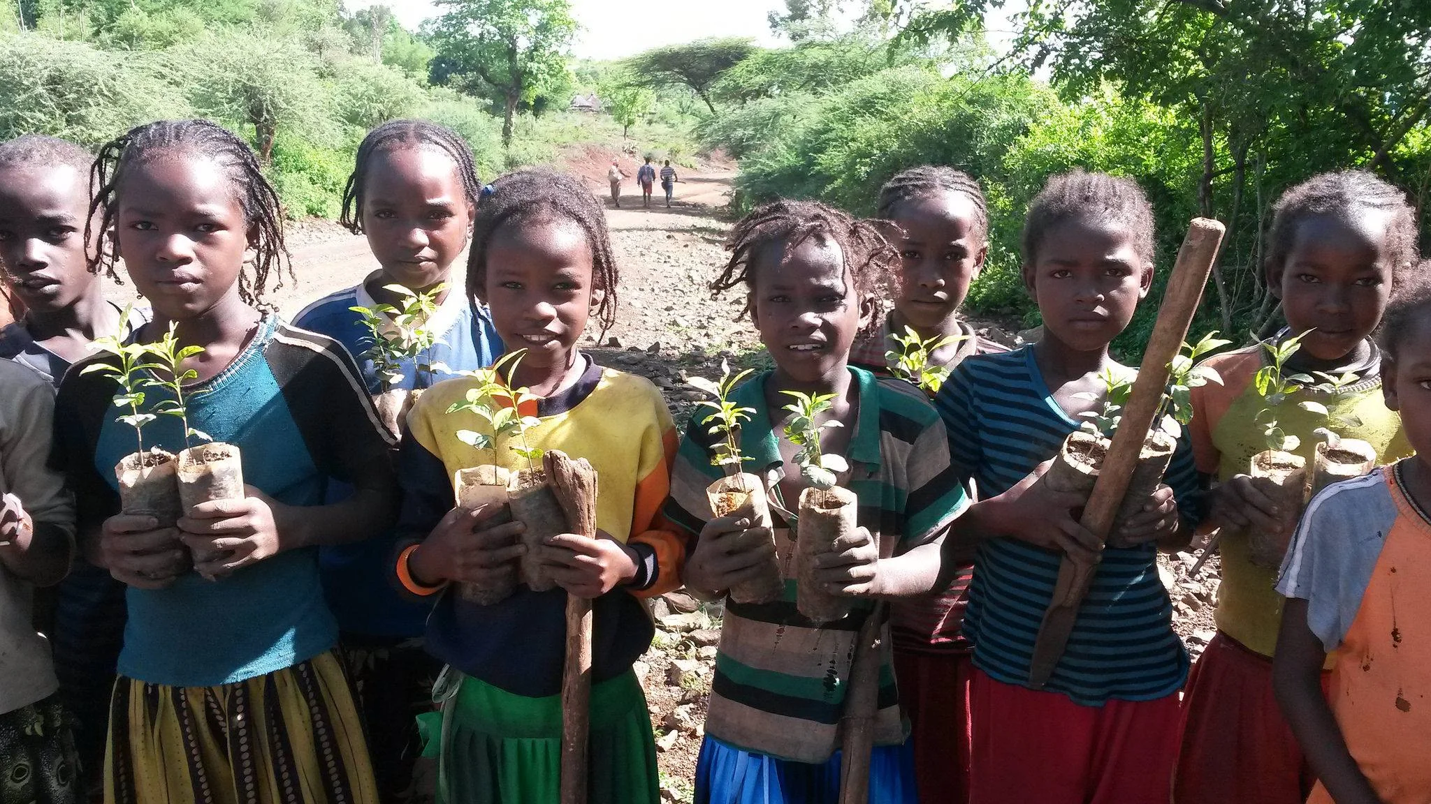 Green Club students have prepared their seedlings and are ready for tree planting day in Ethiopia!