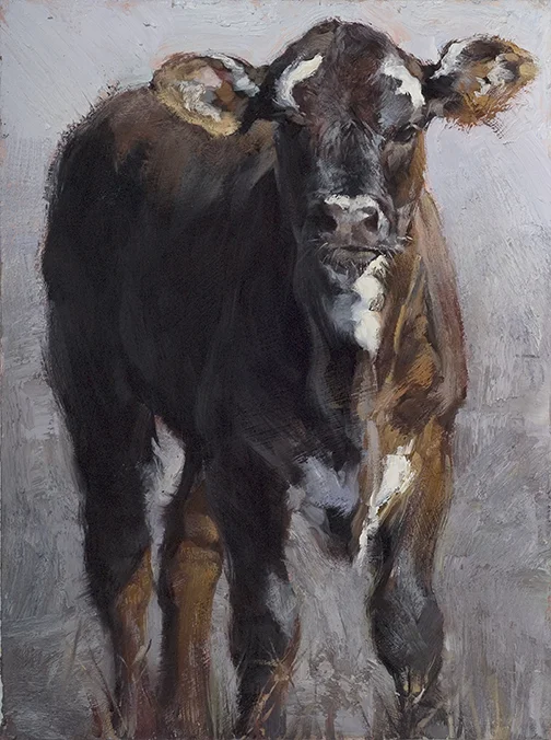 ©2012, Jill Soukup, Calf in Gray , oil, 27 x 20 inches