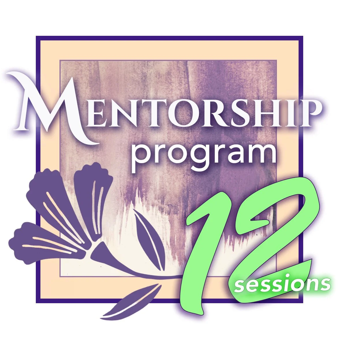 Mentorship Program - 12 Sessions