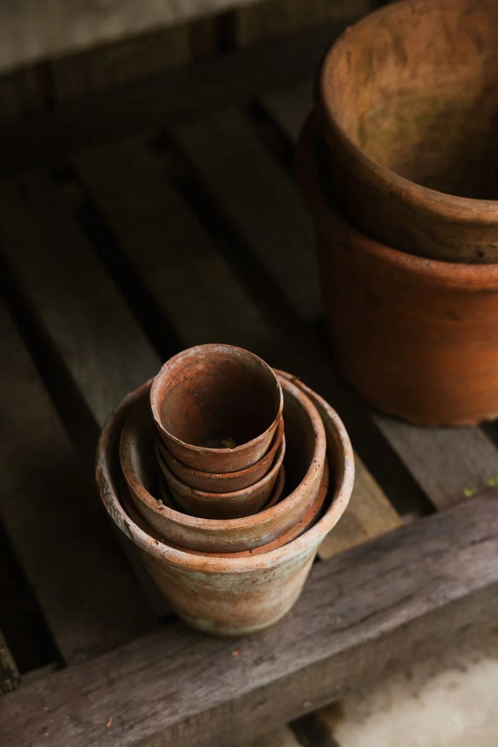 Garden-Growers_Joanne-Crawford-Photographer_Yorkshire-Leeds-40.jpg