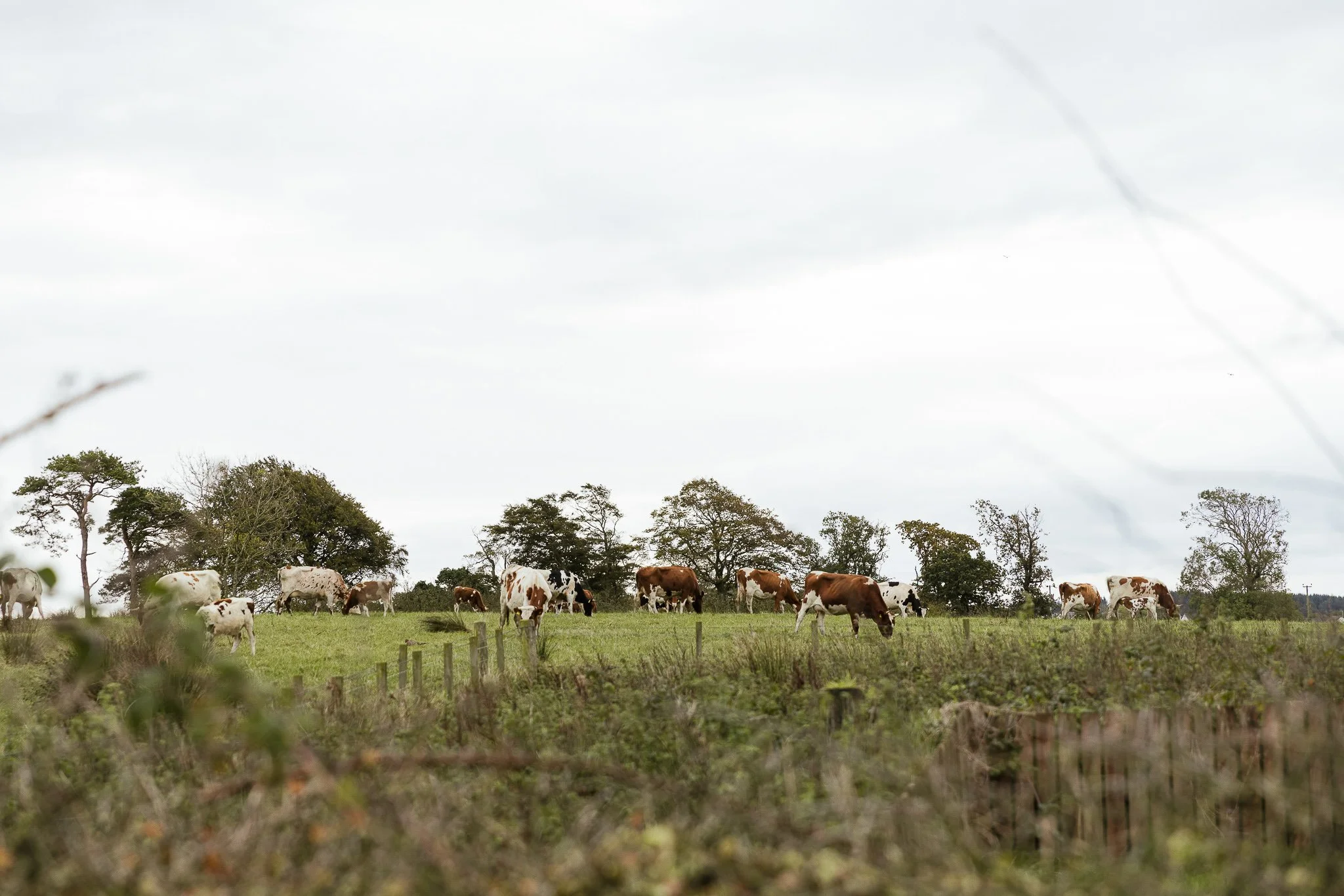 Mossgiel-Farm_Country-Living_Joanne-Crawford-Photographer_Leeds-Yorkshire_Editorial_Lifestyle_Portrait-8.jpg