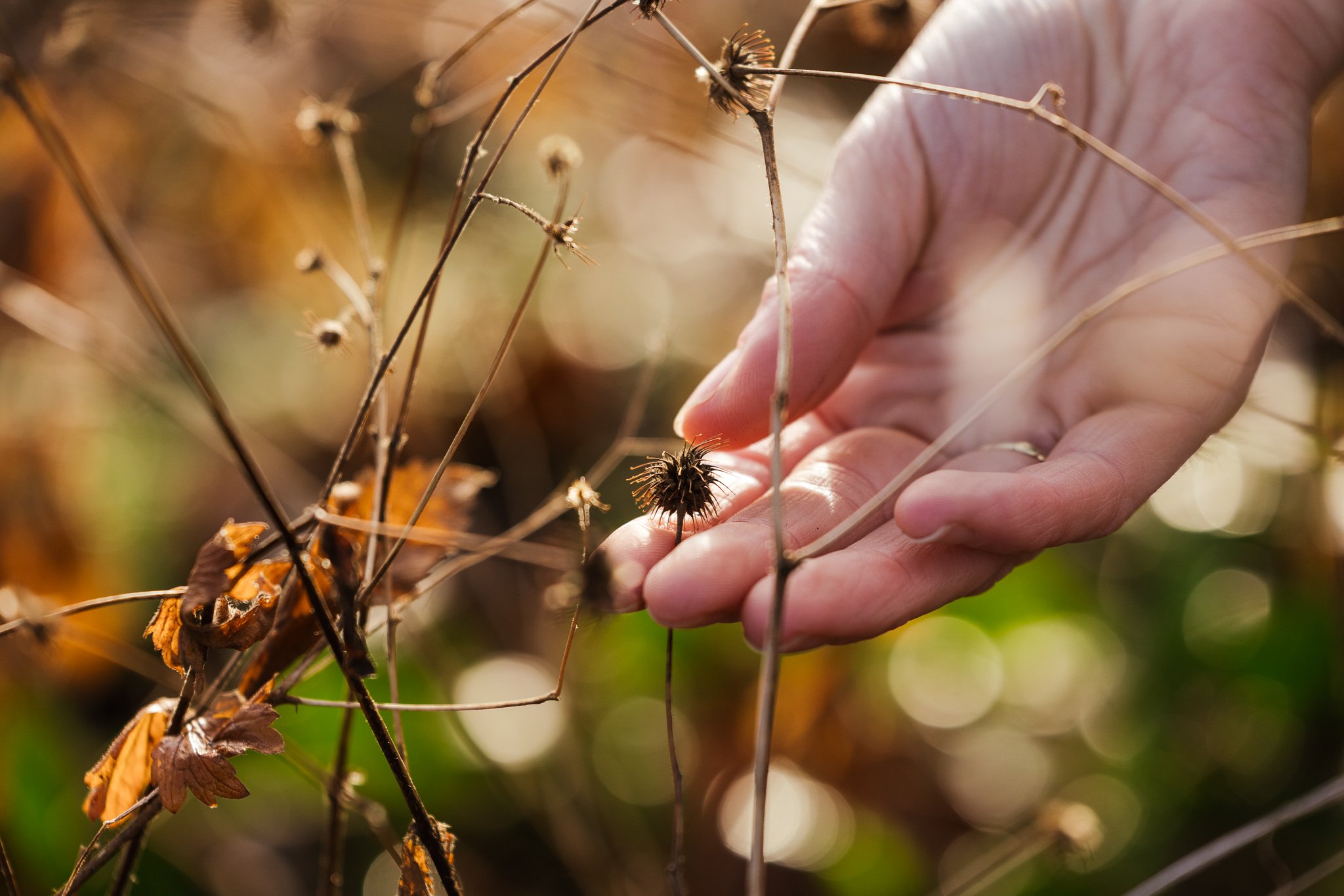 AIDAN LIGGINS - PRINT MAKER
