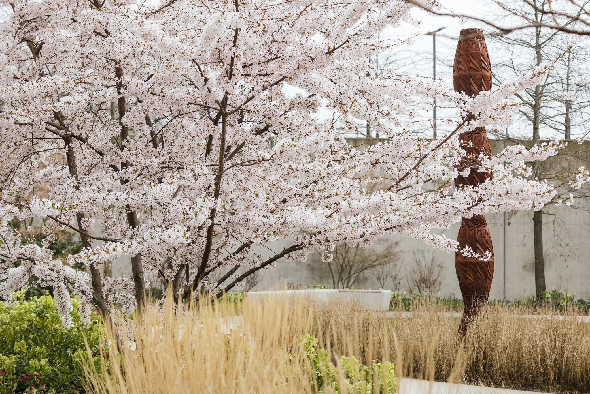 THE HEPWORTH GARDEN - SPRING