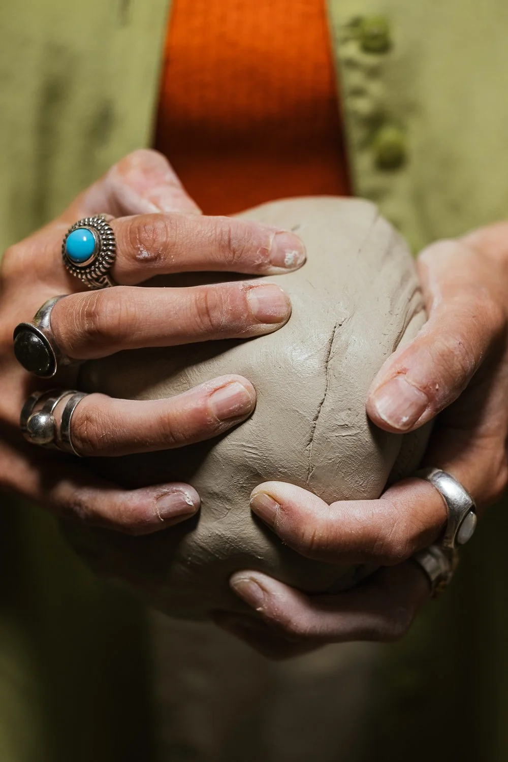 ALIYAH HUSSAIN FOR GUARDIAN LABS