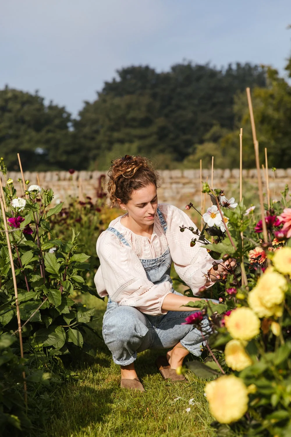 Garden-Growers_Joanne-Crawford-Photographer_Yorkshire-Leeds-57.jpg