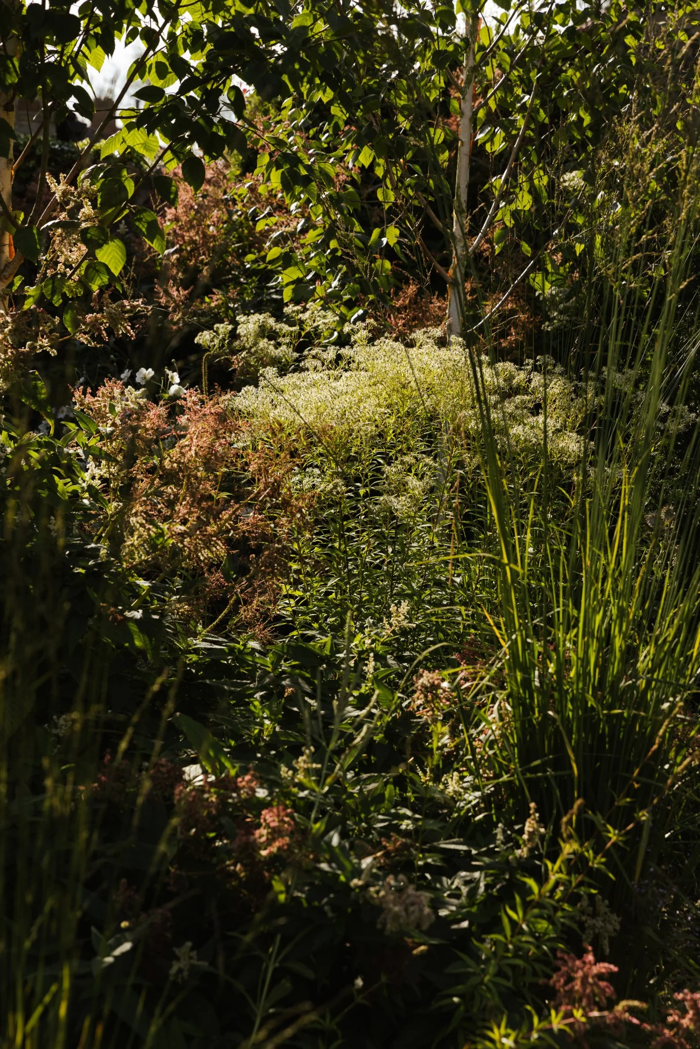 AlistairWBaldwin-Richmond-garden_Joanne-Crawford-333.jpg