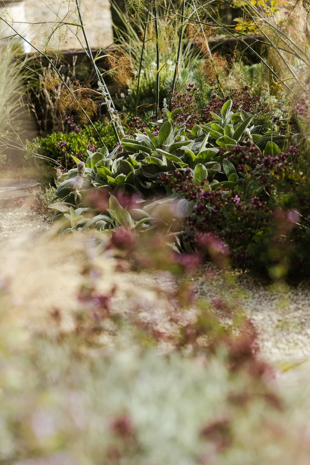 Garden-Growers_Joanne-Crawford-Photographer_Yorkshire-Leeds-50.jpg
