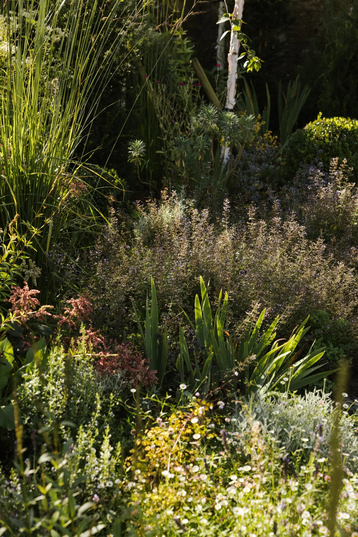 AlistairWBaldwin-Richmond-garden_Joanne-Crawford-331.jpg