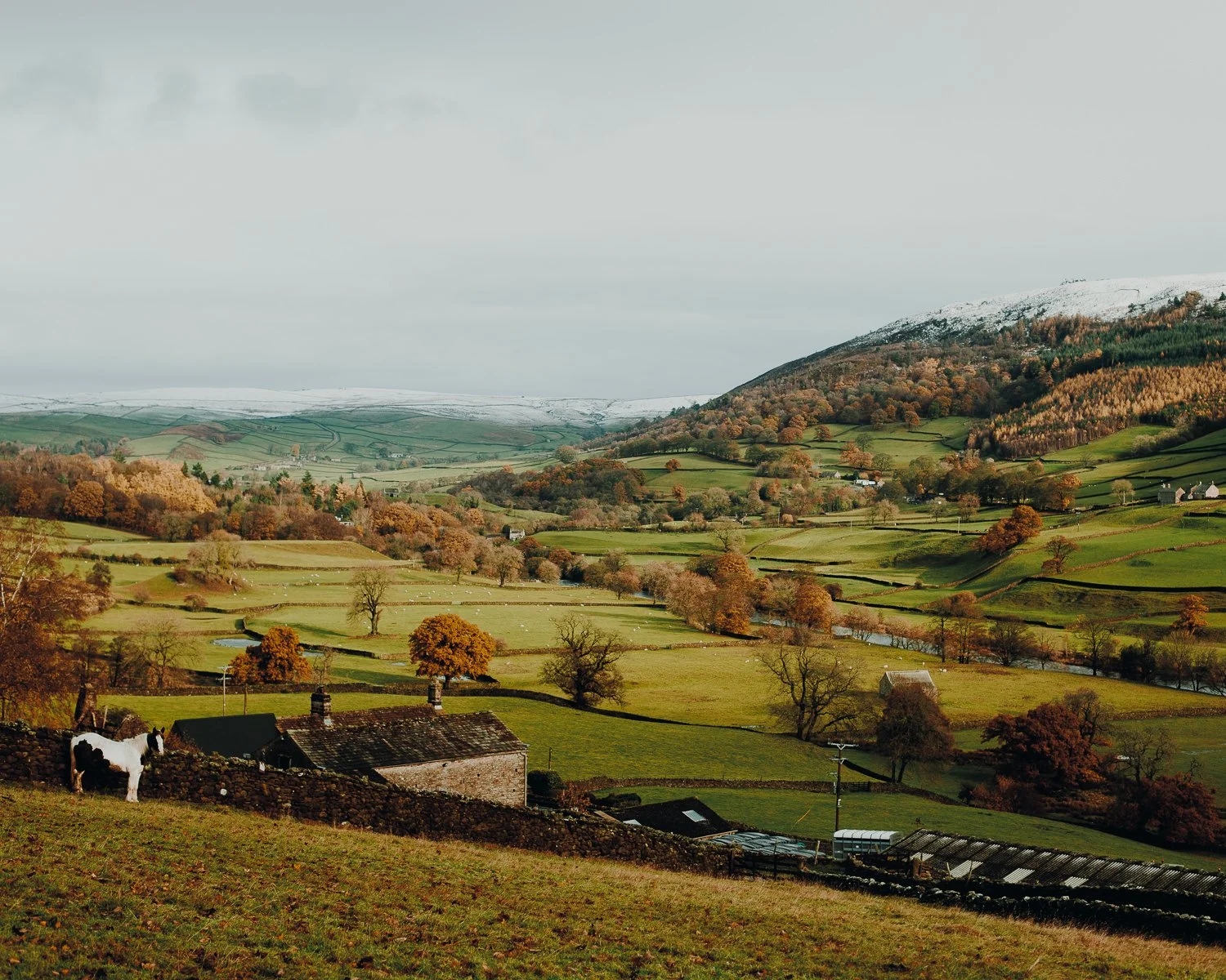 Joanne-Crawford_Landscapes6.jpg