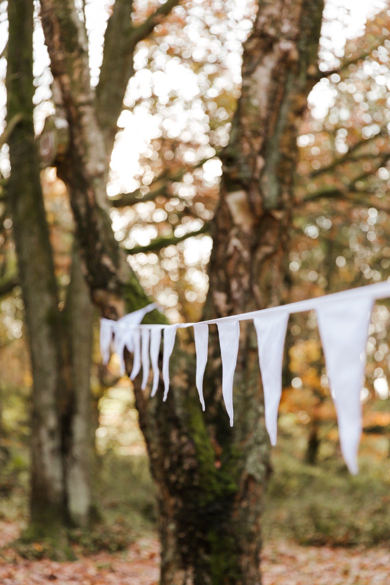 Rooted-Autumn-2019-158.JPG