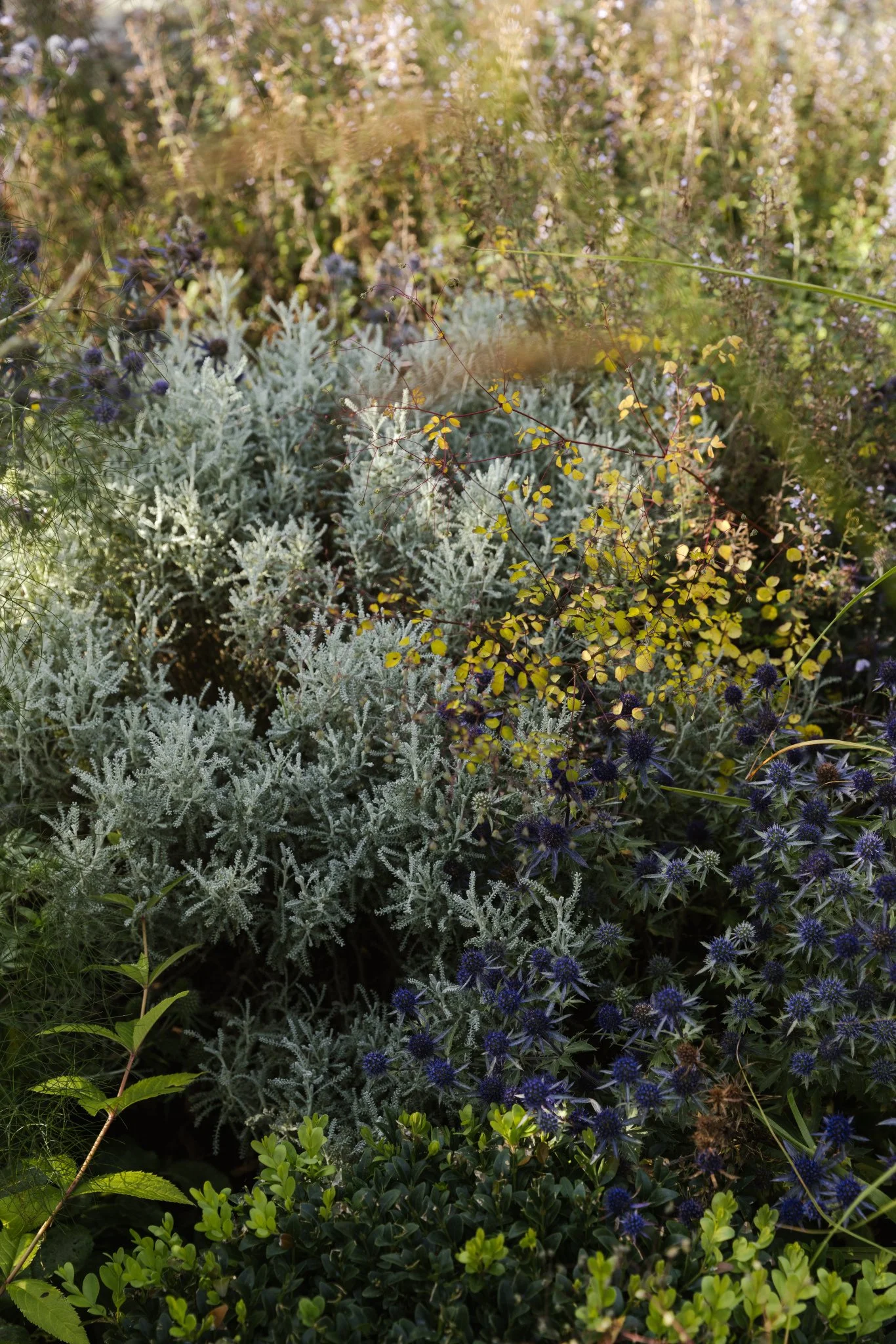 AlistairWBaldwin-Richmond-garden_Joanne-Crawford-326.jpg