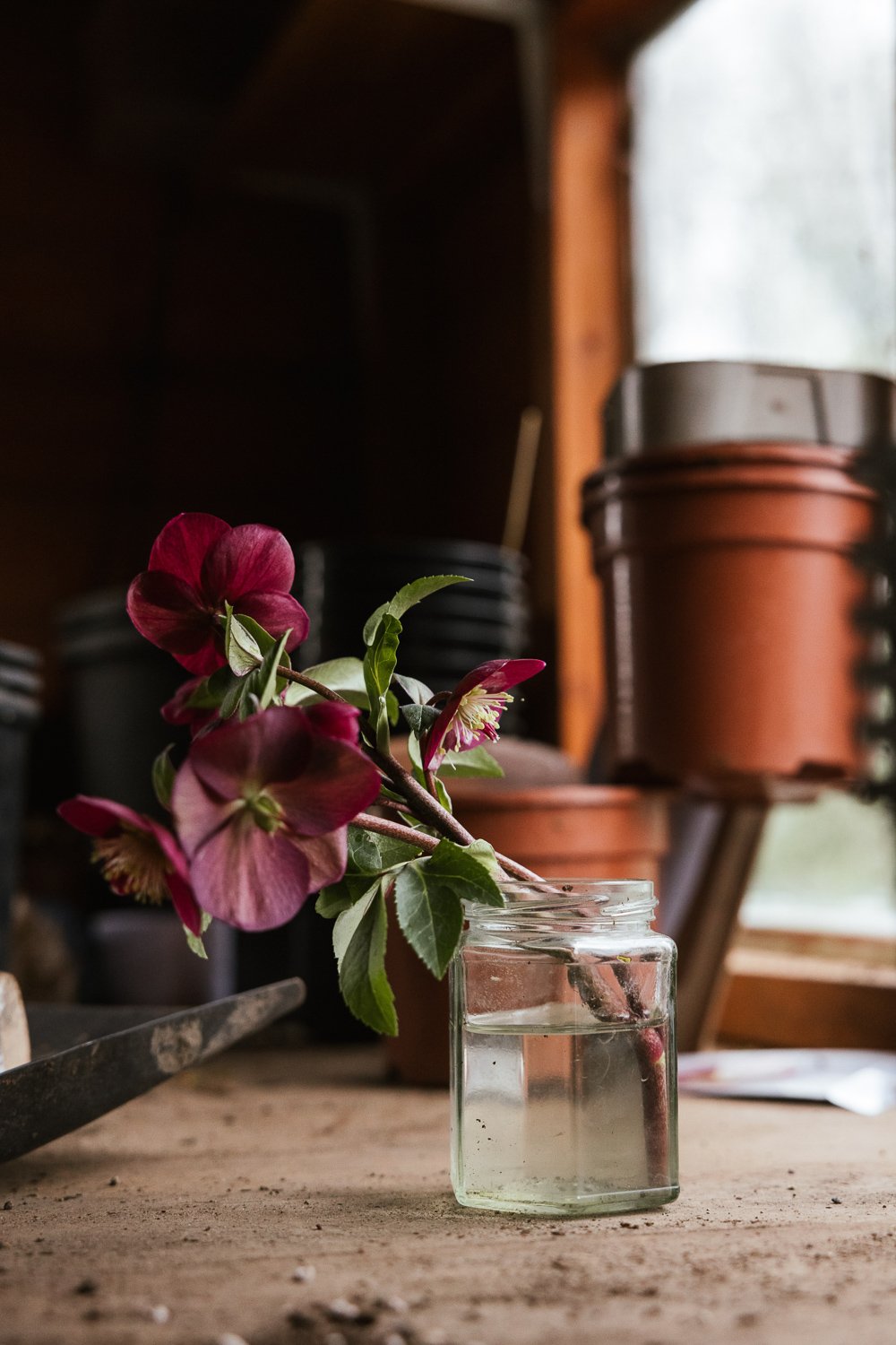 Garden-Growers_Joanne-Crawford-Photographer_Yorkshire-Leeds-46.jpg