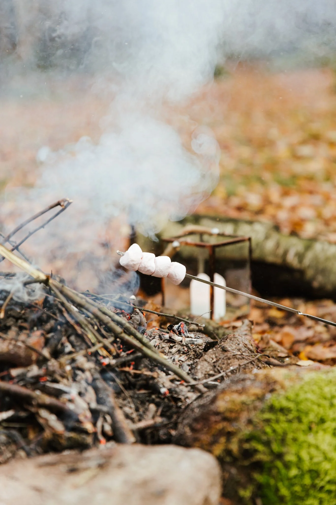 Rooted-Autumn-2019-207.JPG