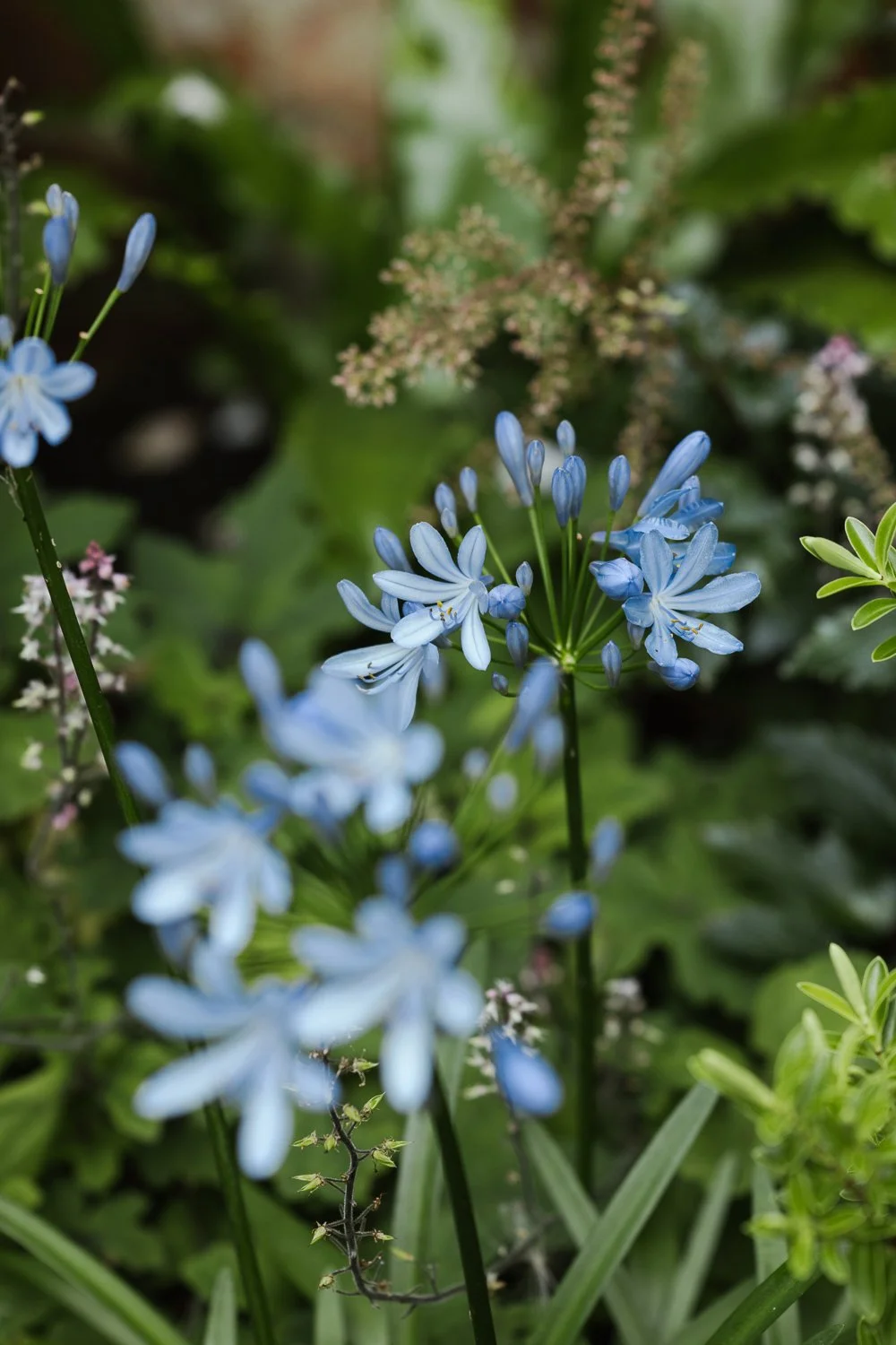 Garden-Growers_Joanne-Crawford-Photographer_Yorkshire-Leeds-32.jpg