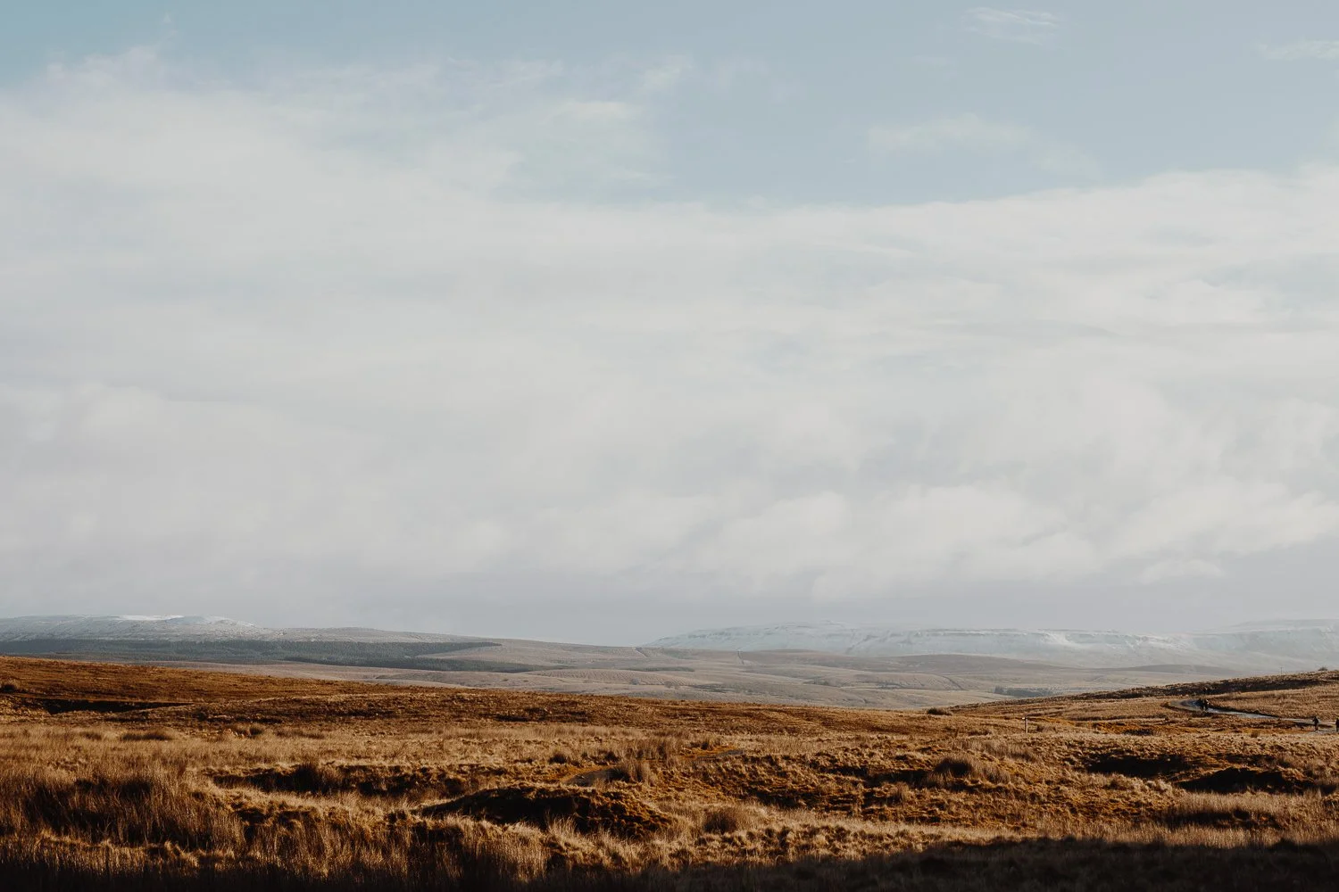 Joanne-Crawford_Landscapes3.jpg