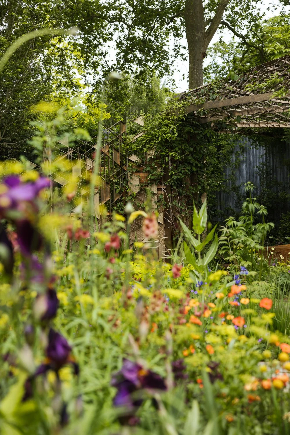 Garden-Growers_Joanne-Crawford-Photographer_Yorkshire-Leeds-35.jpg