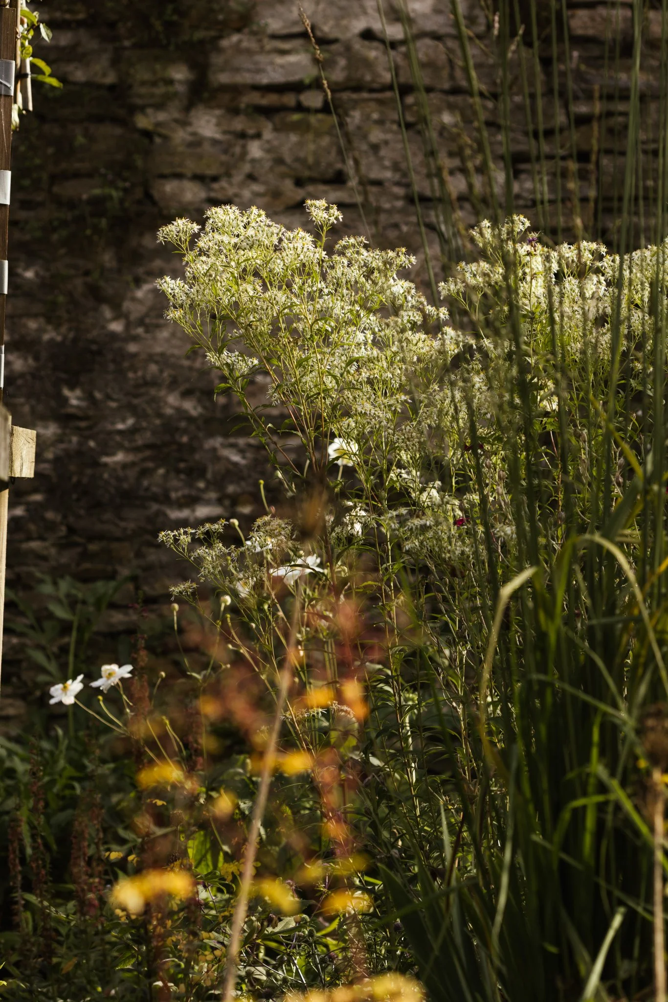 AlistairWBaldwin-Richmond-garden_Joanne-Crawford-372.jpg