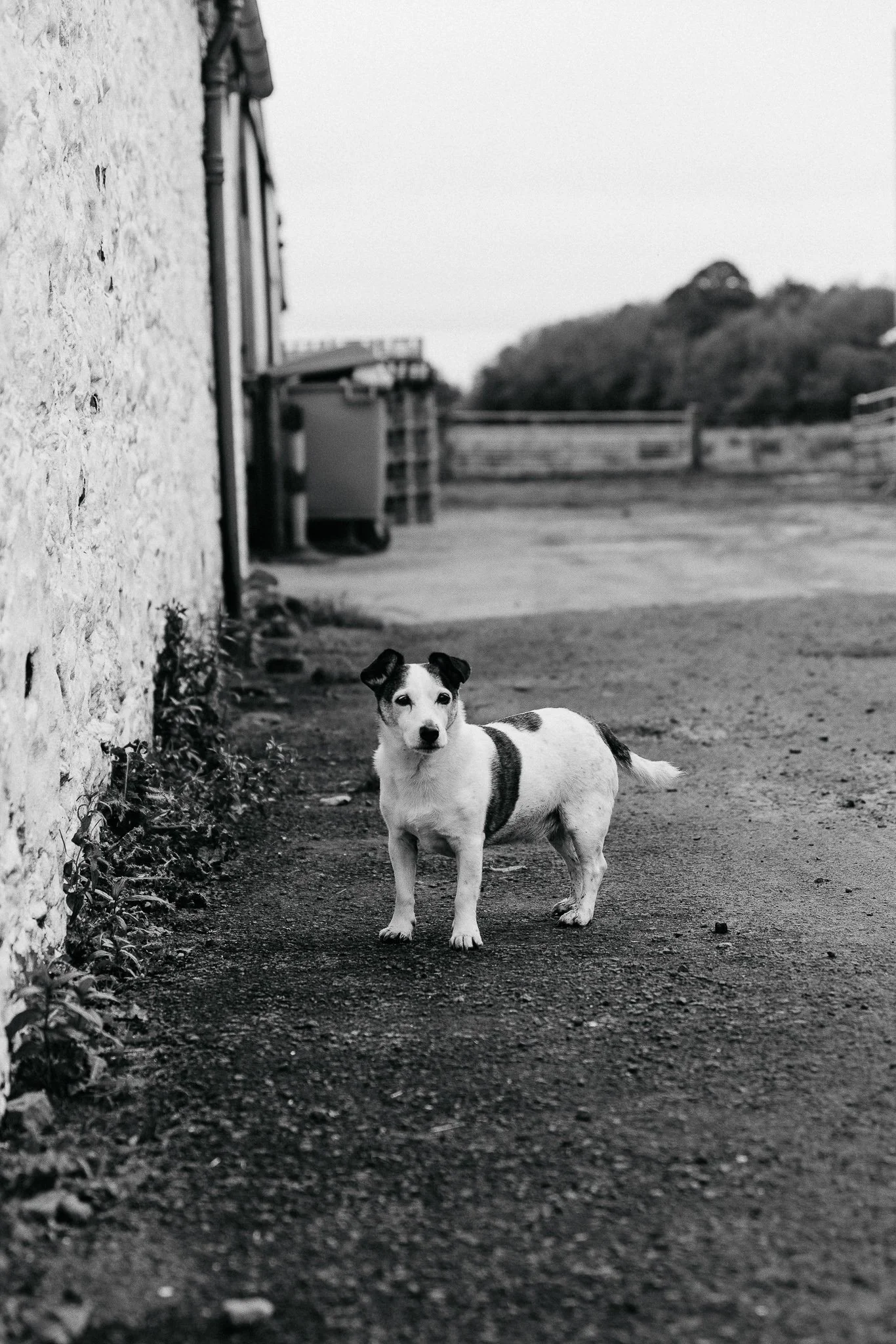 Mossgiel-Farm_Country-Living_Joanne-Crawford-Photographer_Leeds-Yorkshire_Editorial_Lifestyle_Portrait-19.jpg