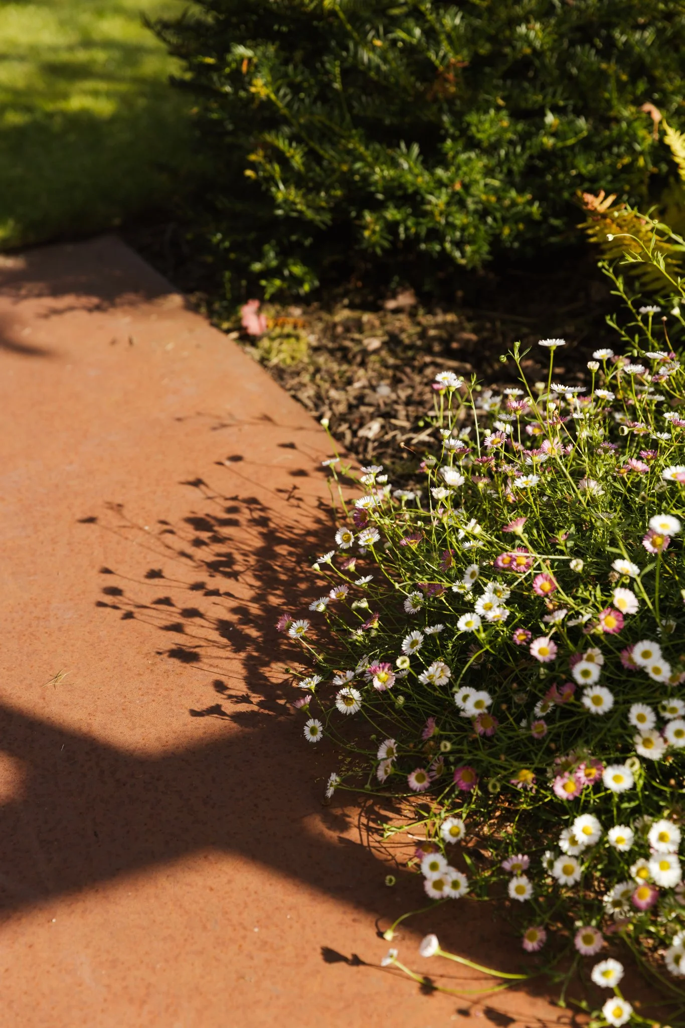 AlistairWBaldwin-Richmond-garden_Joanne-Crawford-279.jpg
