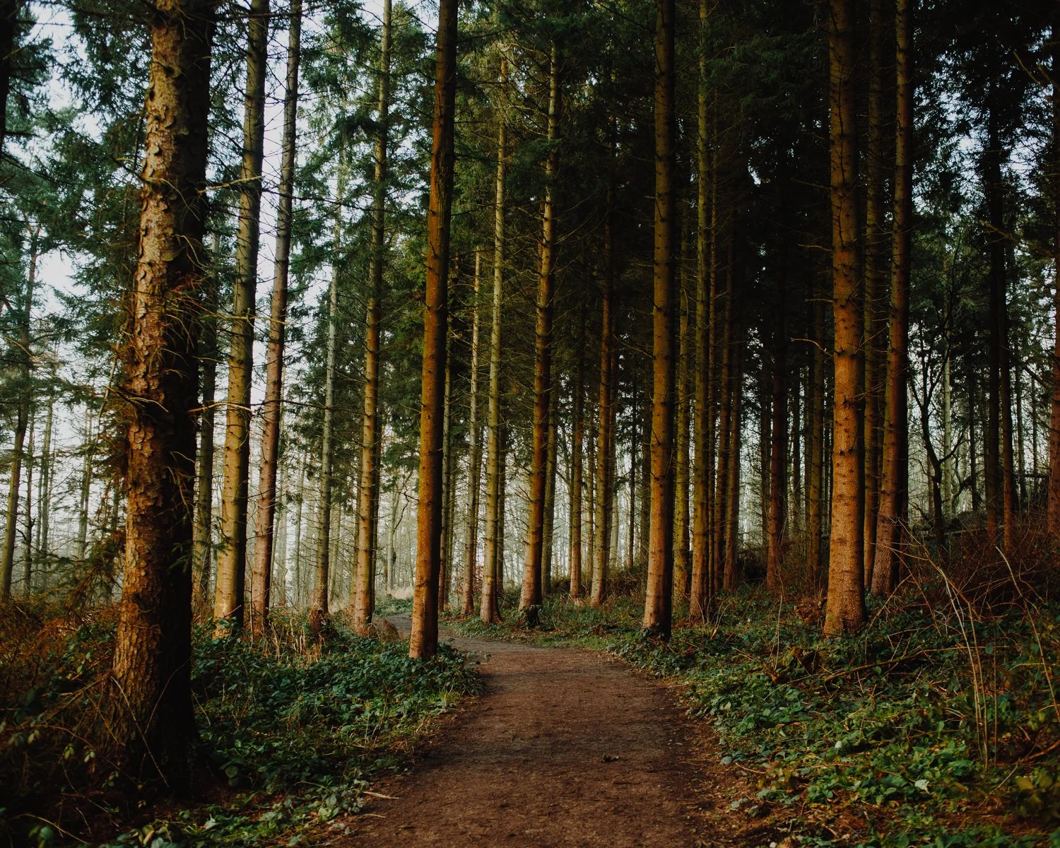 Joanne-Crawford_Landscapes4.jpg