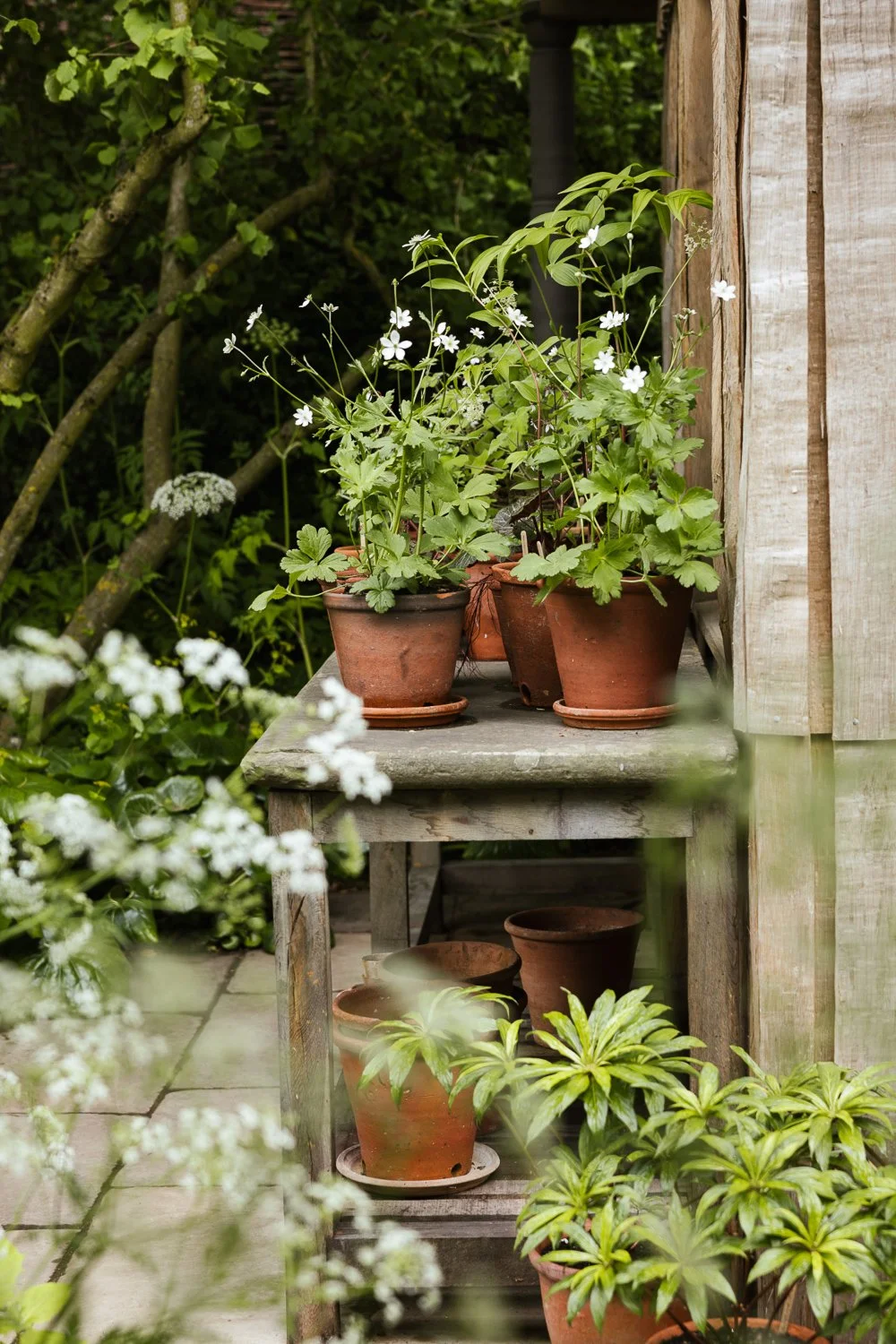 Garden-Growers_Joanne-Crawford-Photographer_Yorkshire-Leeds-39.jpg