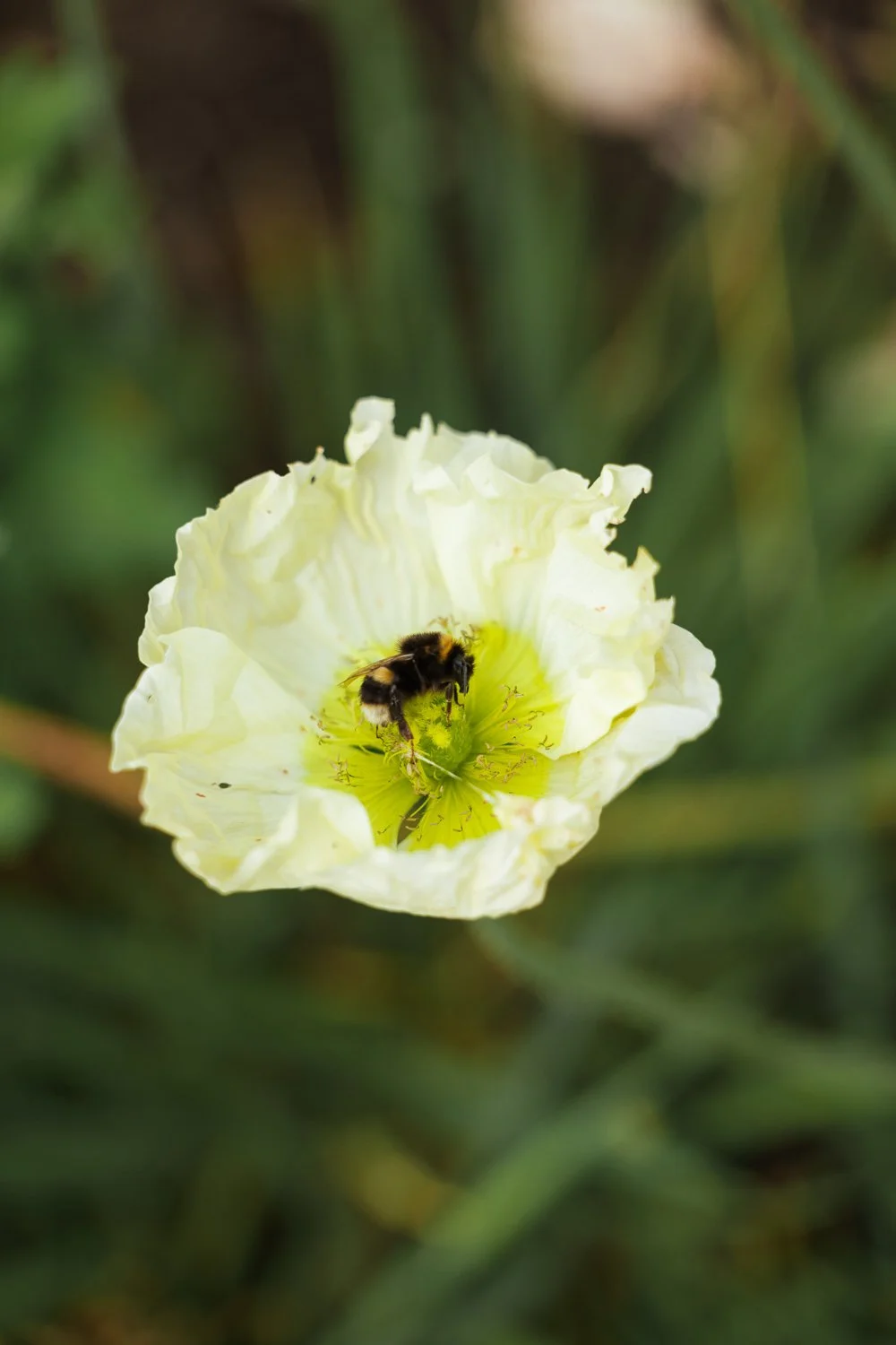 Garden-Growers_Joanne-Crawford-Photographer_Yorkshire-Leeds-4.jpg
