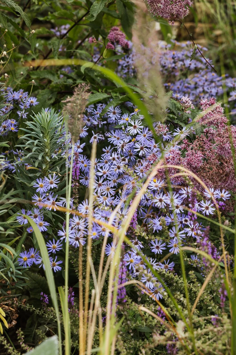 Garden-Growers_Joanne-Crawford-Photographer_Yorkshire-Leeds-25.jpg