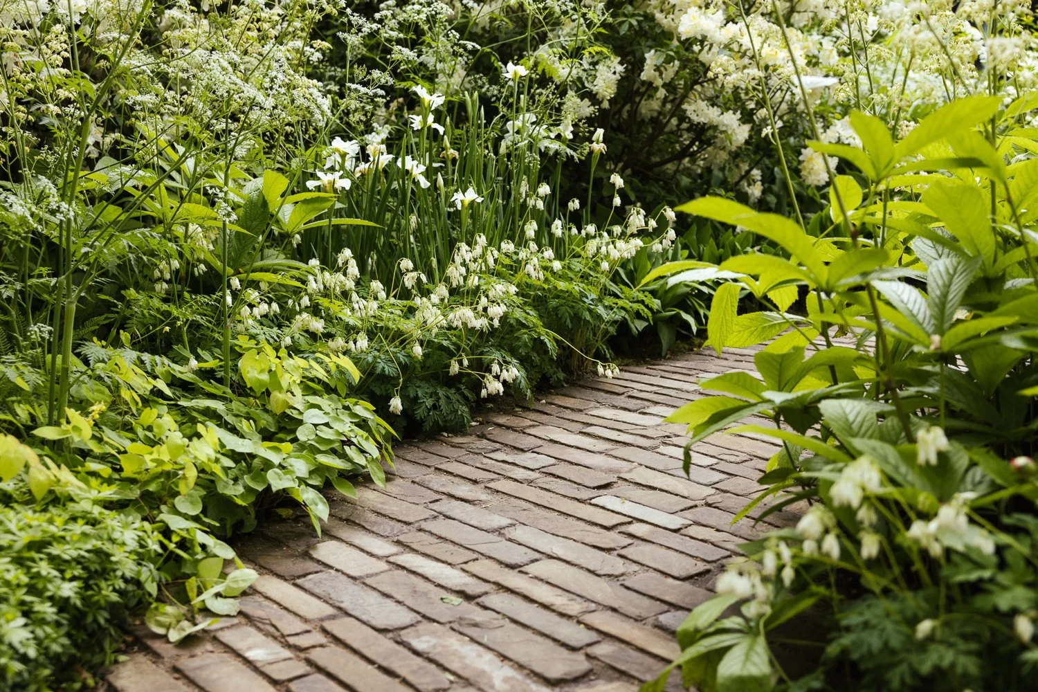Garden-Growers_Joanne-Crawford-Photographer_Yorkshire-Leeds-38.jpg