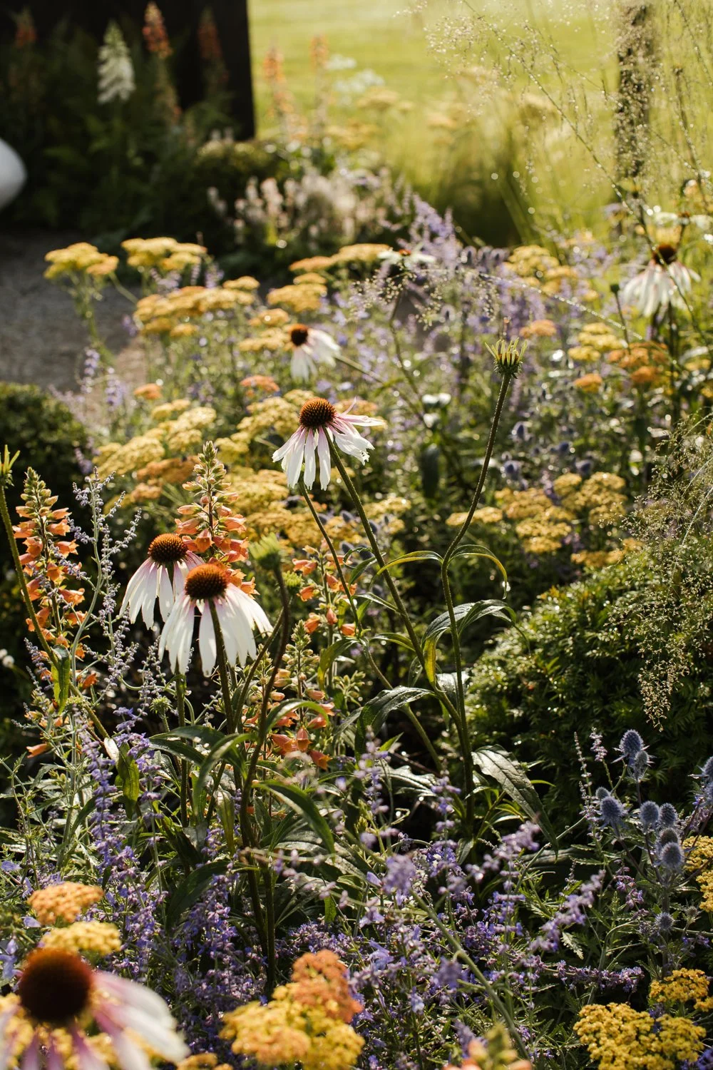 Garden-Growers_Joanne-Crawford-Photographer_Yorkshire-Leeds-54.jpg