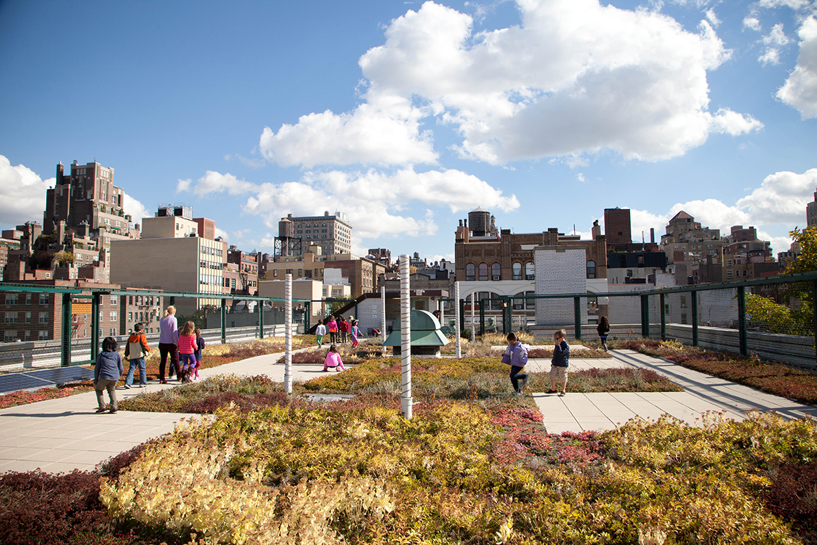 Green Roof, P.S. 41 Greenwich Village