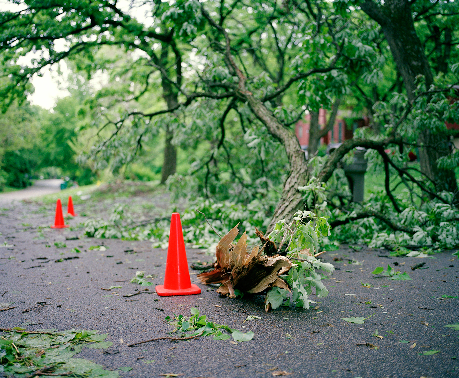 The Roadblock