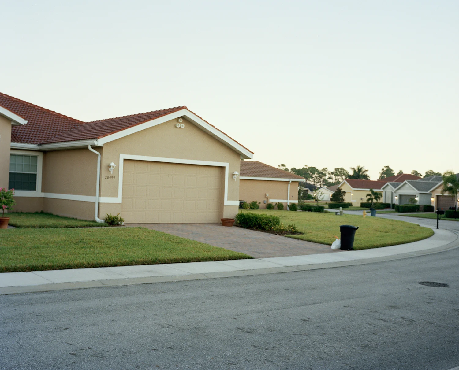 Magnolia Drive