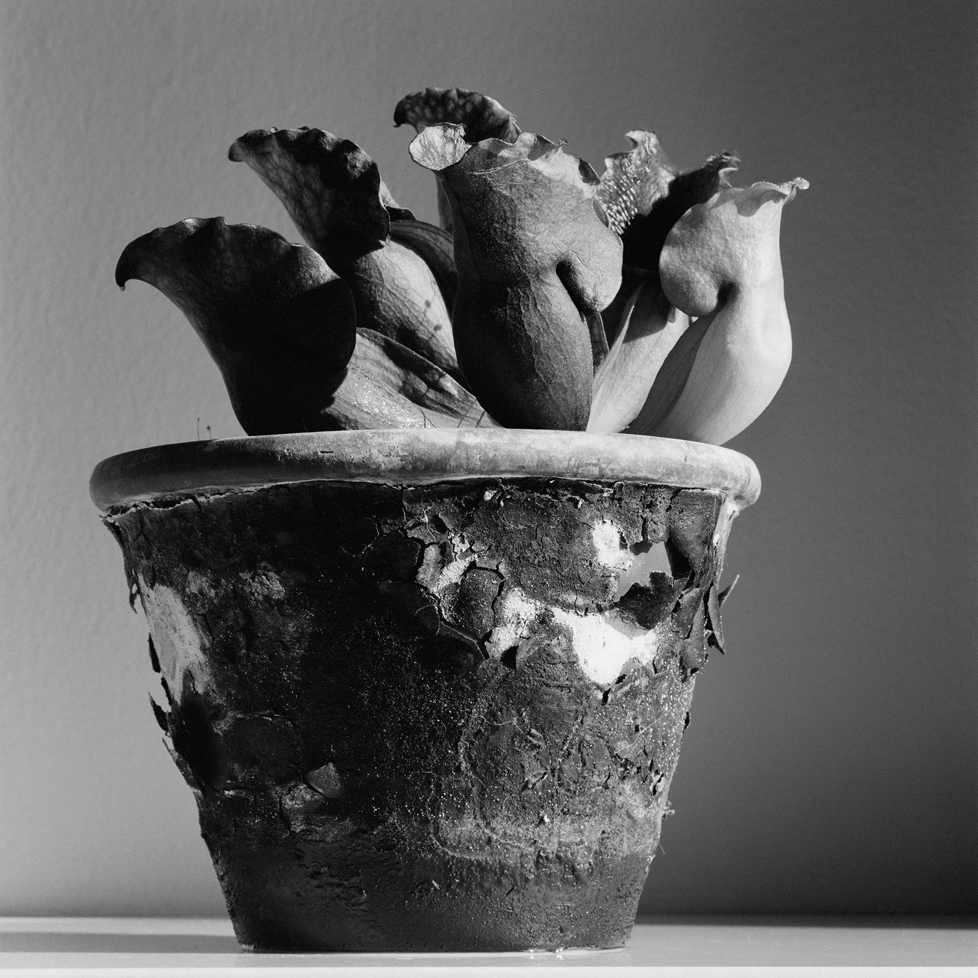 0021_HAS_02_05_FINAL_PRINT_THUMB FOR INDEX.jpg