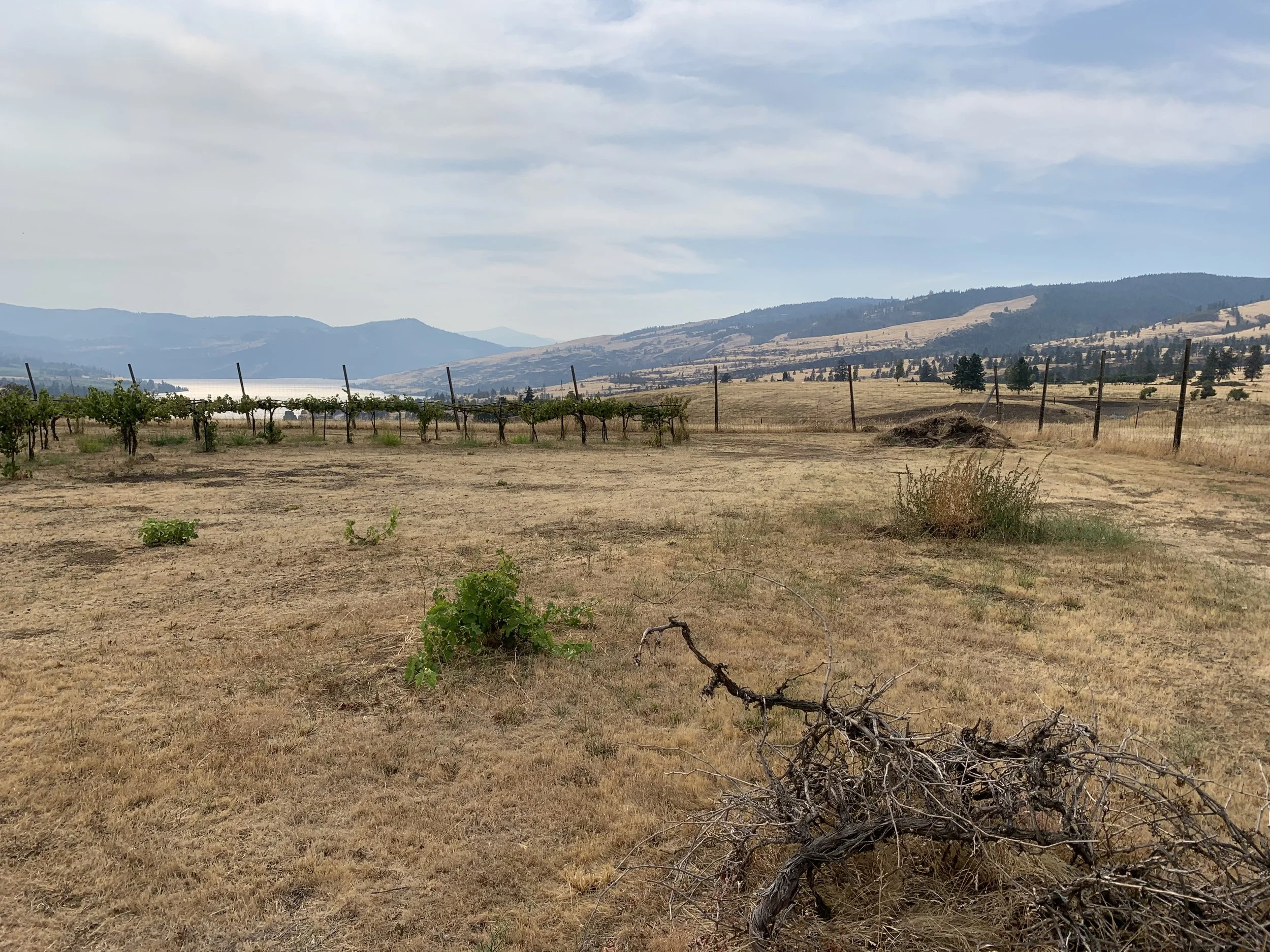 South Fence Line Medium Range .jpg