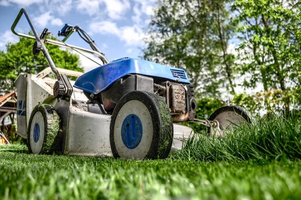 garden-gardening-grass-589.jpg