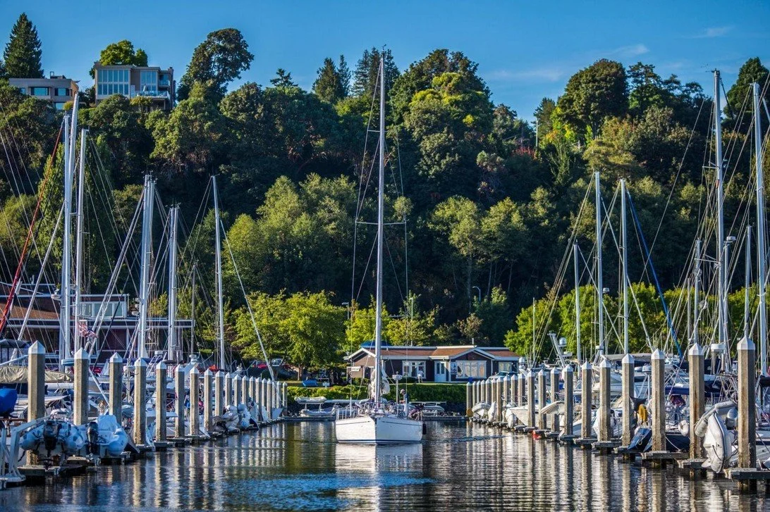 Screenshot 2026-02-22 140212.jpg