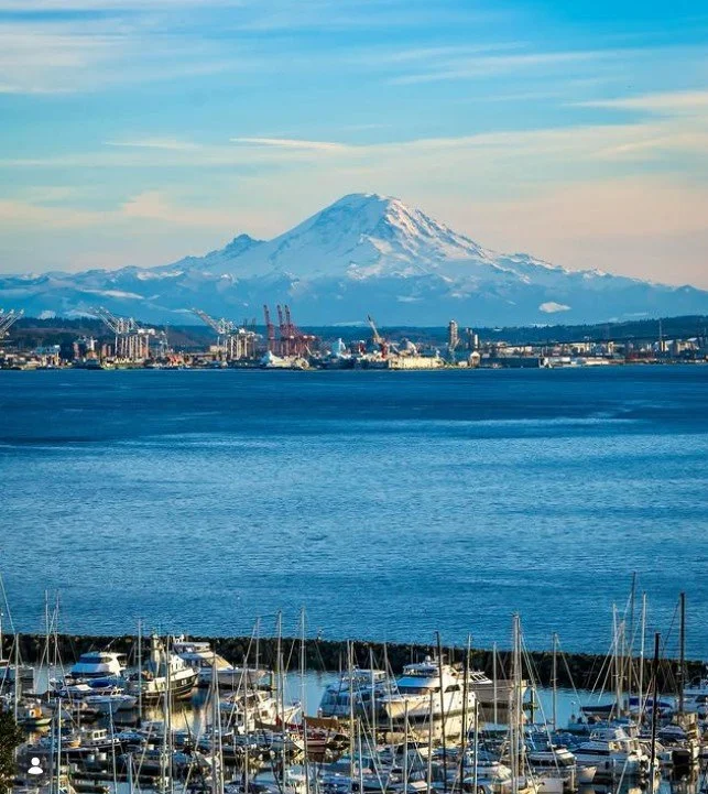 Screenshot 2026-02-22 141430.jpg