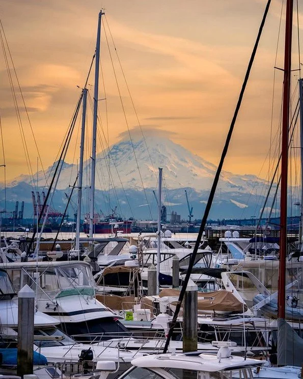 Screenshot 2026-02-22 141507.jpg