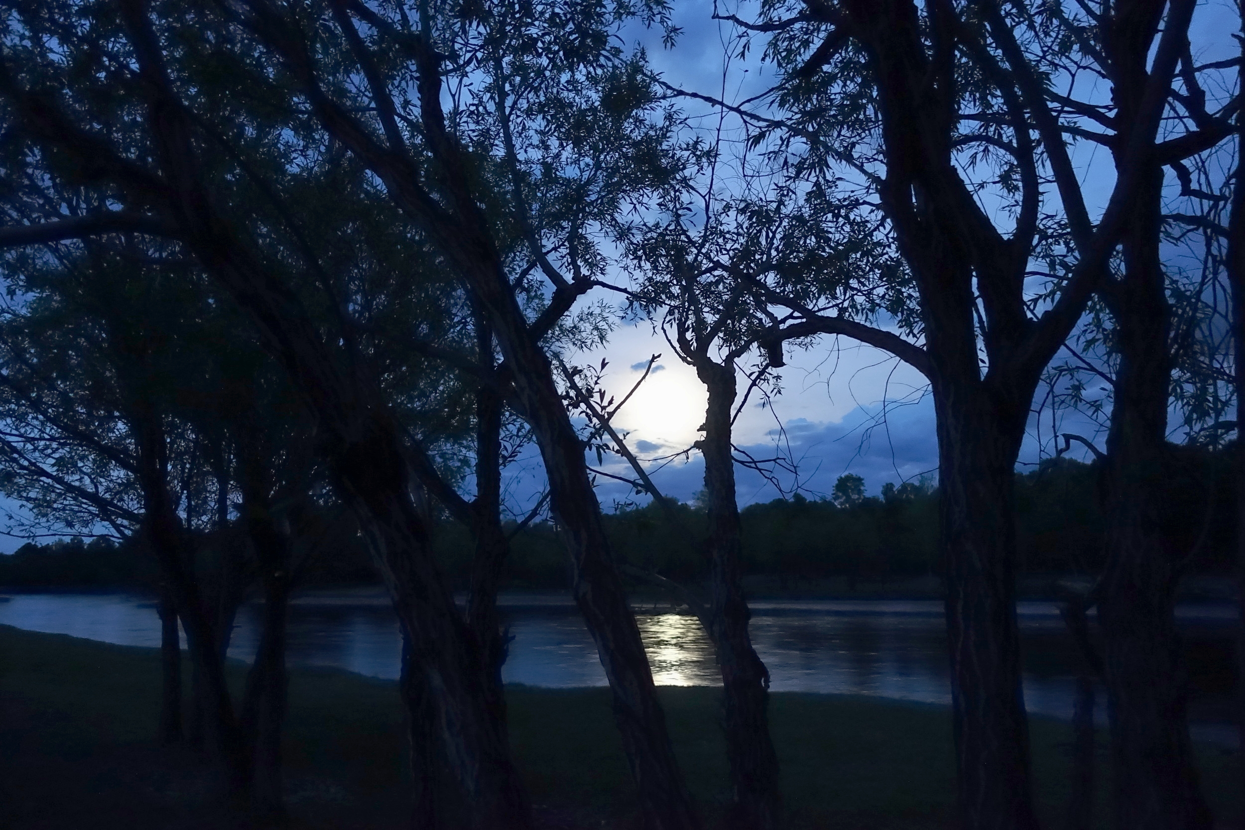 6 unforgettable moonlit nights spent in tents in the Terelj national park