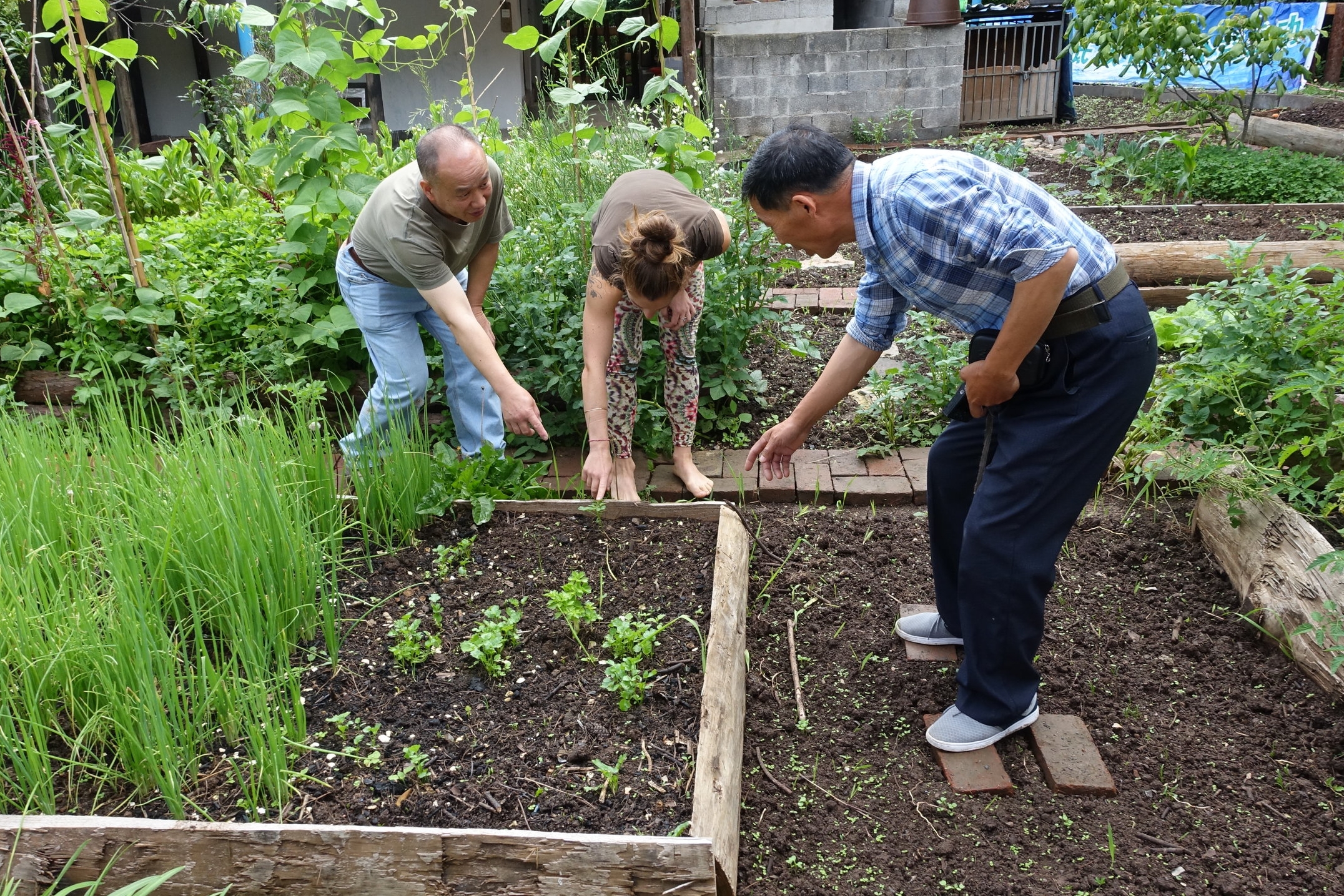 Part of our work consists in redesigning the eco-garden, and presenting the future visitors with information about the local species of fruits and vegetables.