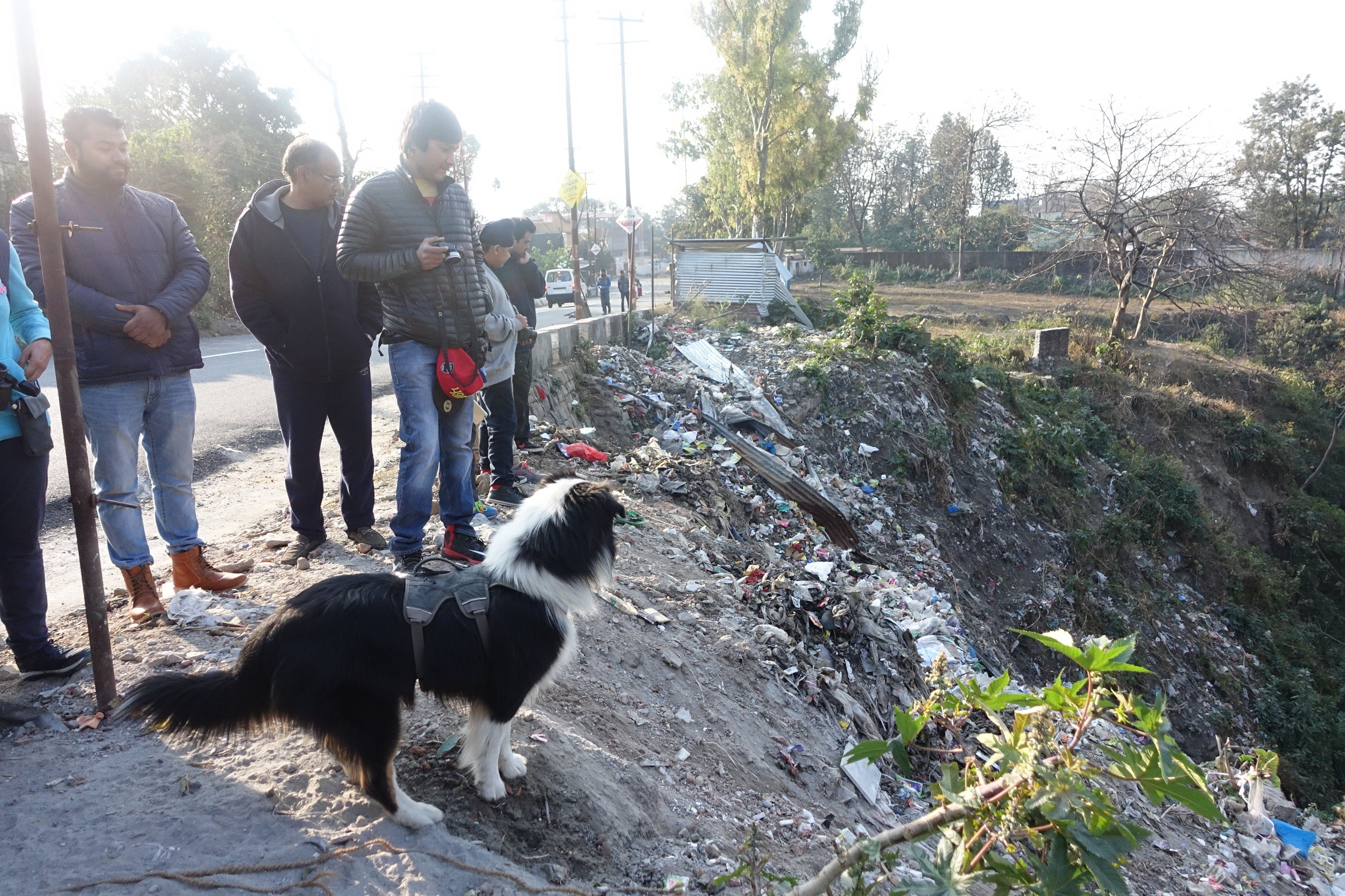 One of the numerous garbage dumping sites in a popular area of Dehradun.