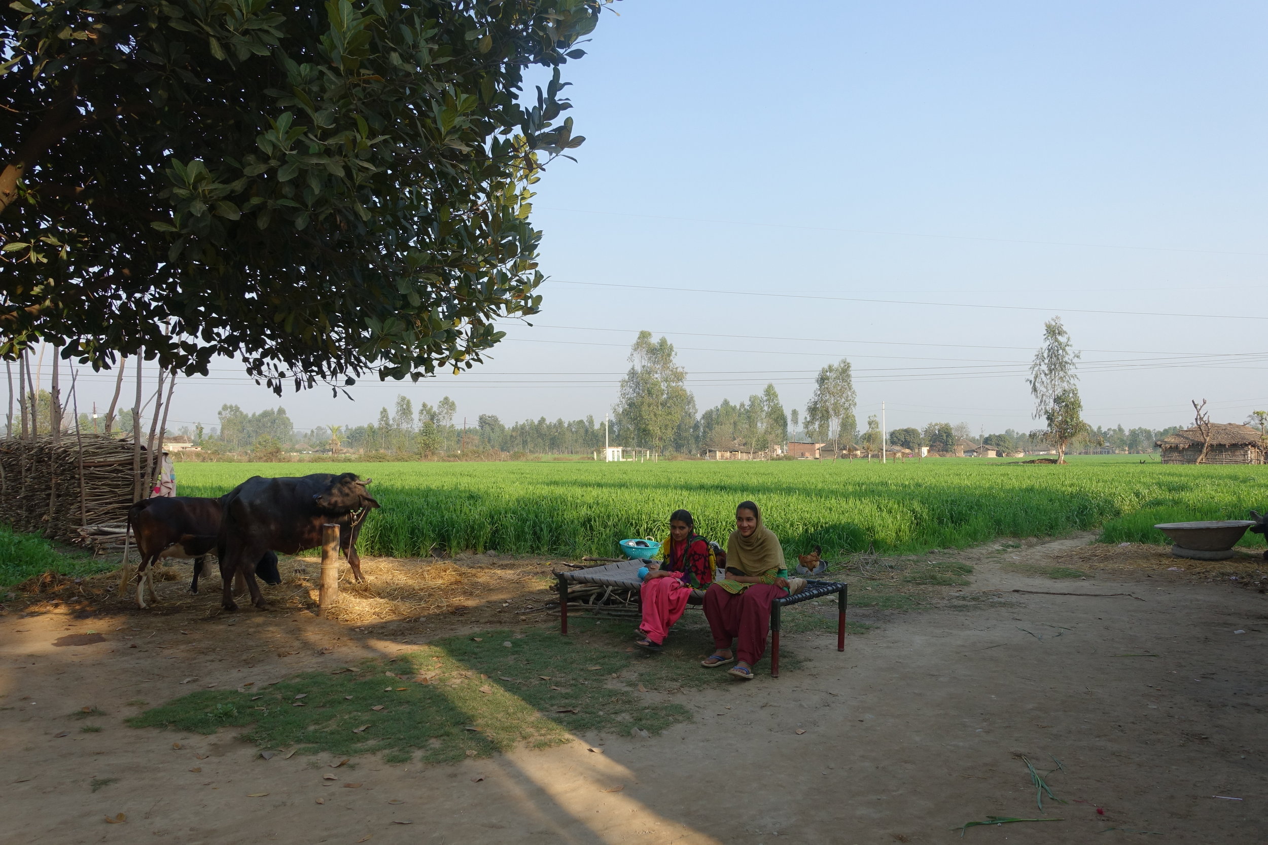 A family of farmers, relatives of our young outreach coordinator Taukeer, in their rural village of Uttarakhand.