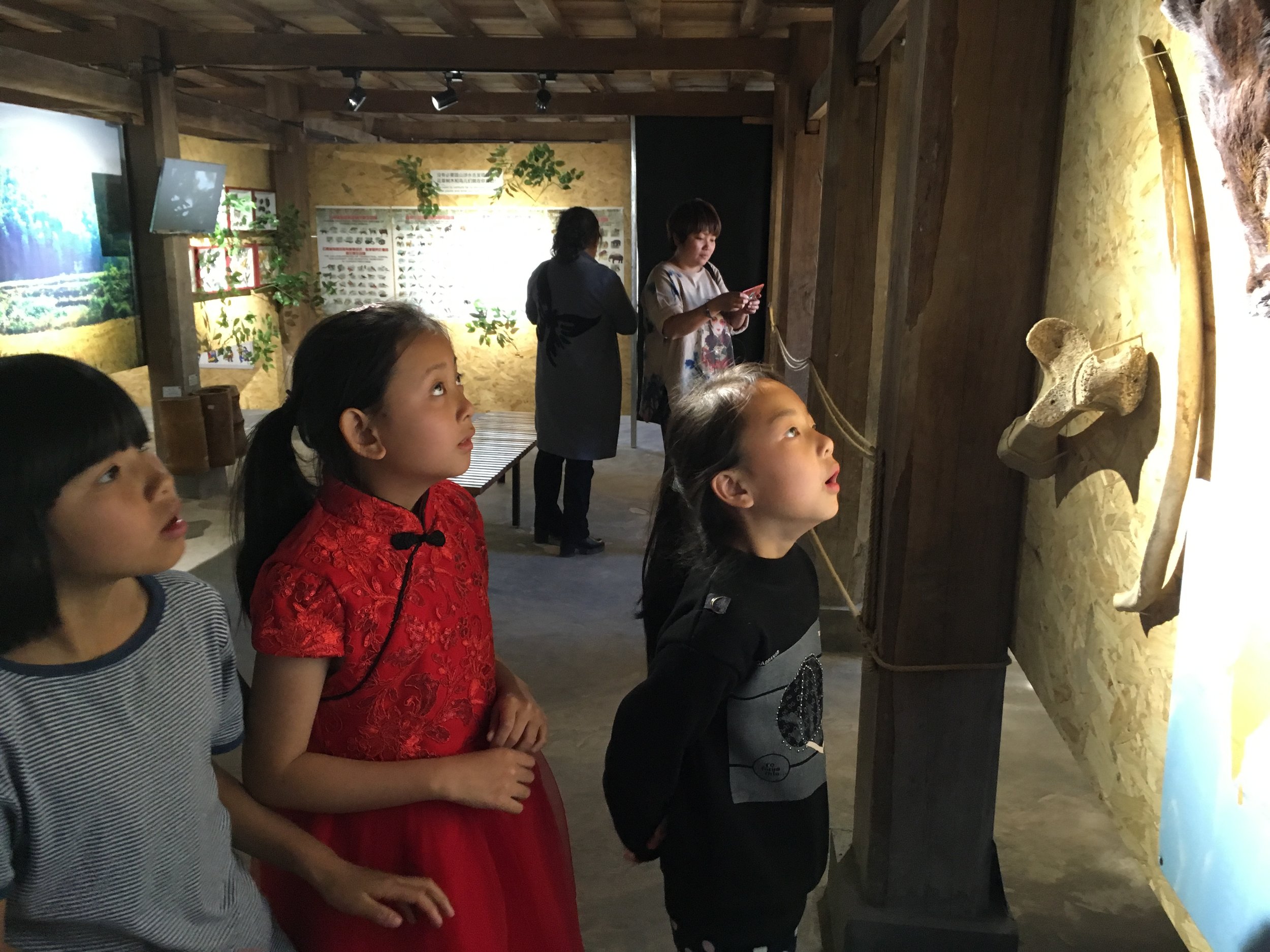 3-2 Children look at elephant bones at Section2 of the museum.JPG