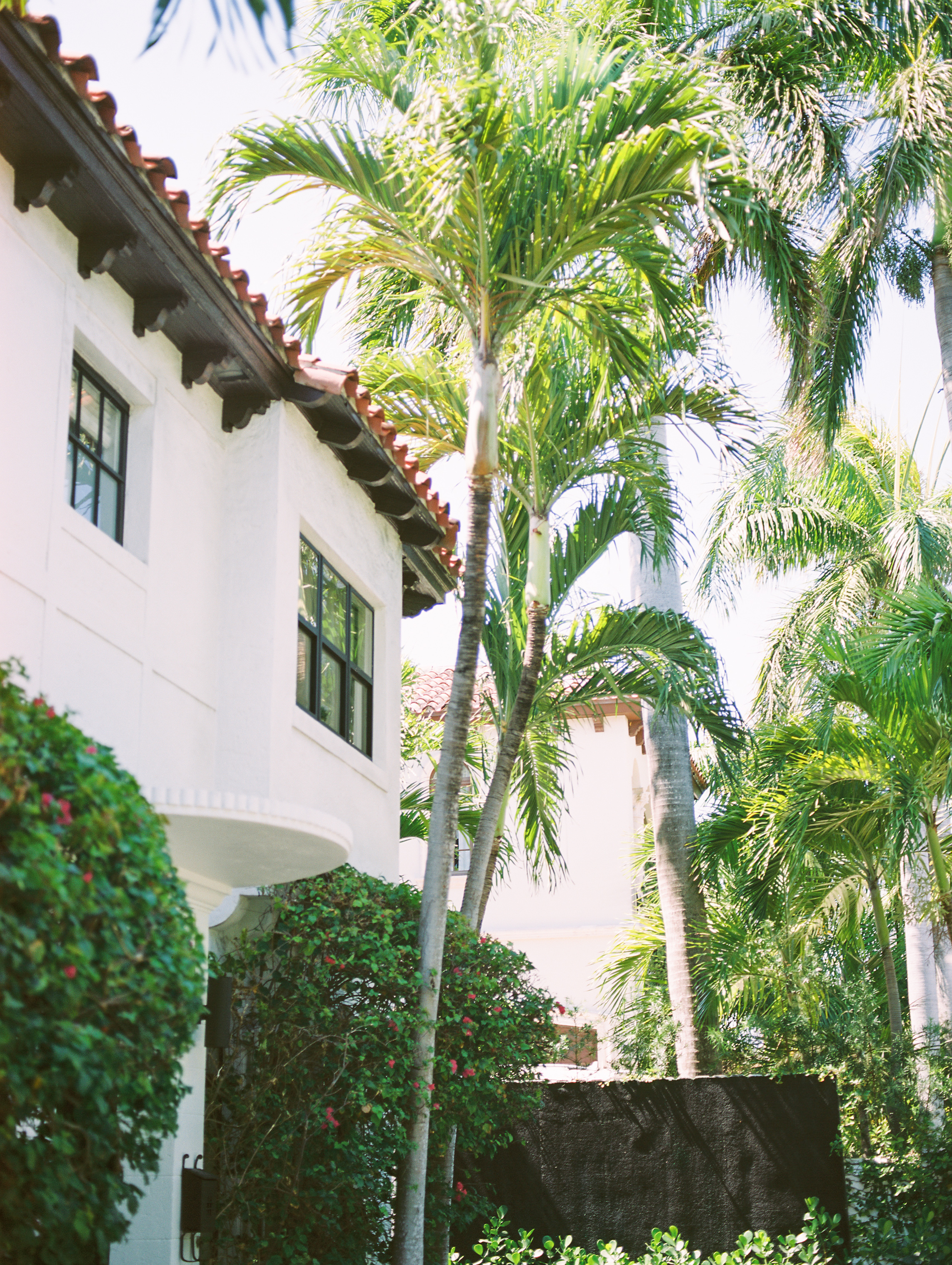 Miami-film-photography-jessica-bellinger-034.jpg