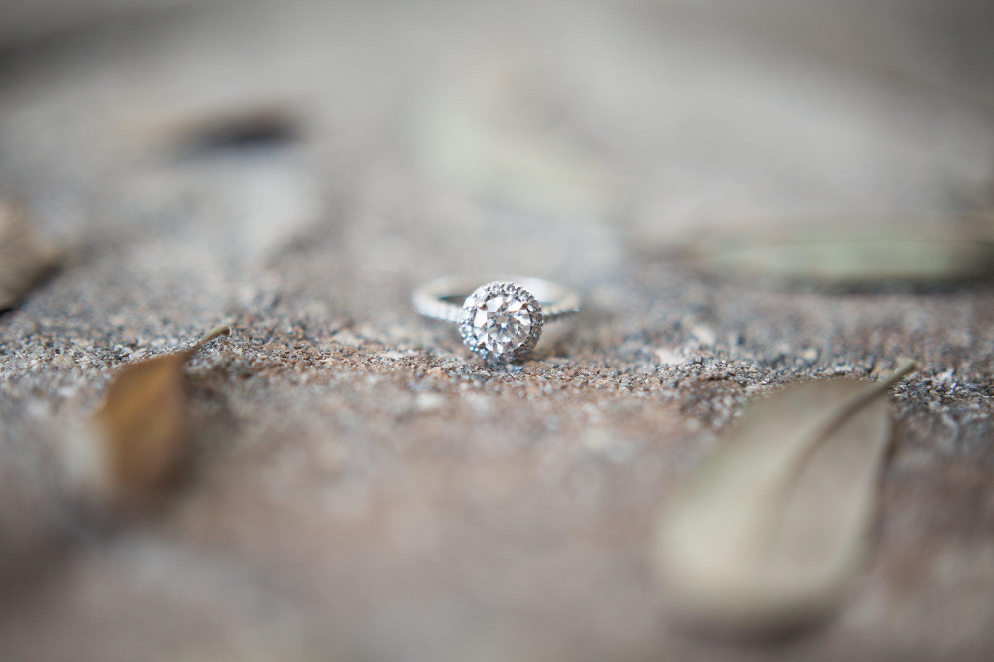up the creek farms malabar fl engagement and wedding photos ring