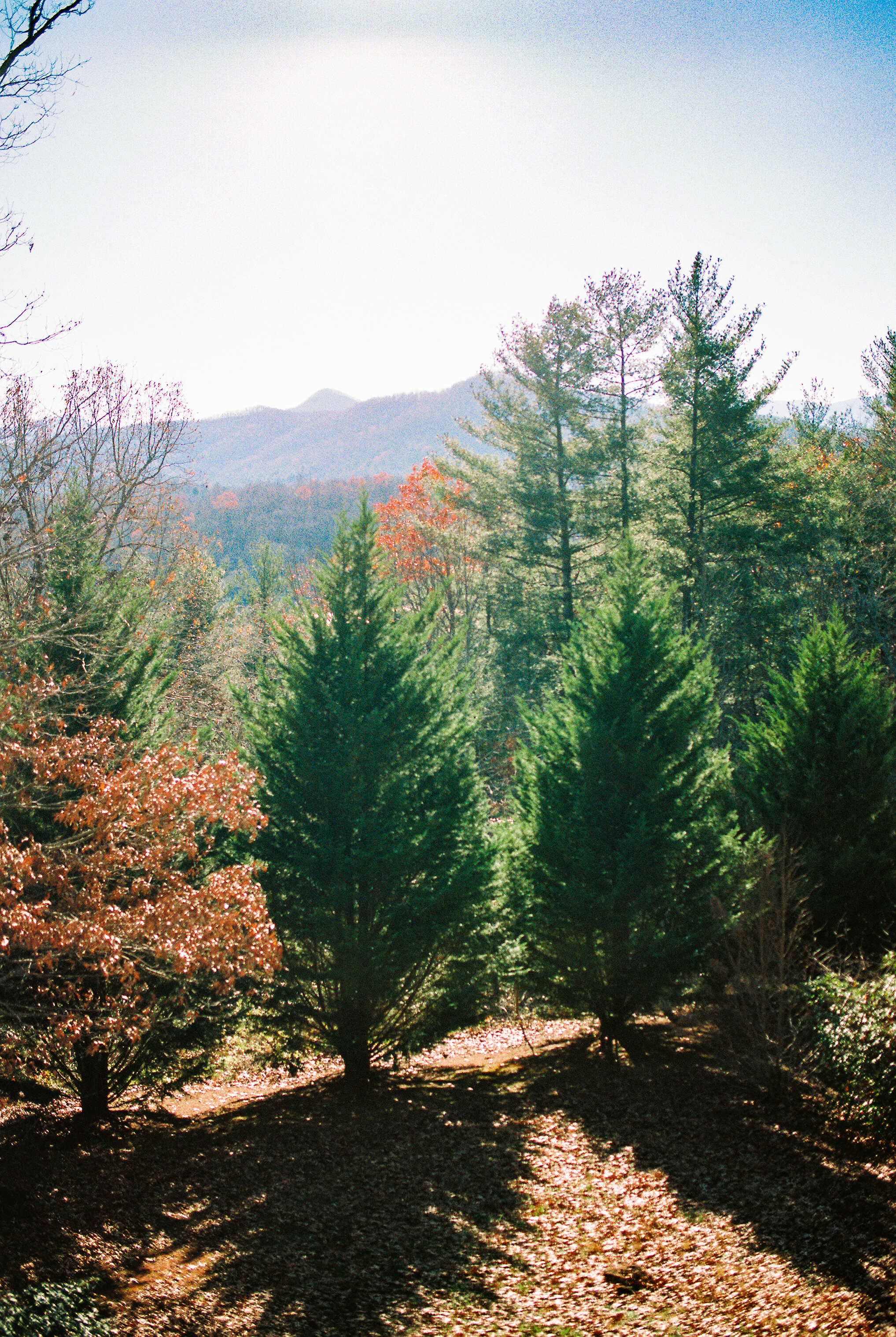 north-georgia-hiawasse-appalachian-mountains-photos-040-2.jpg