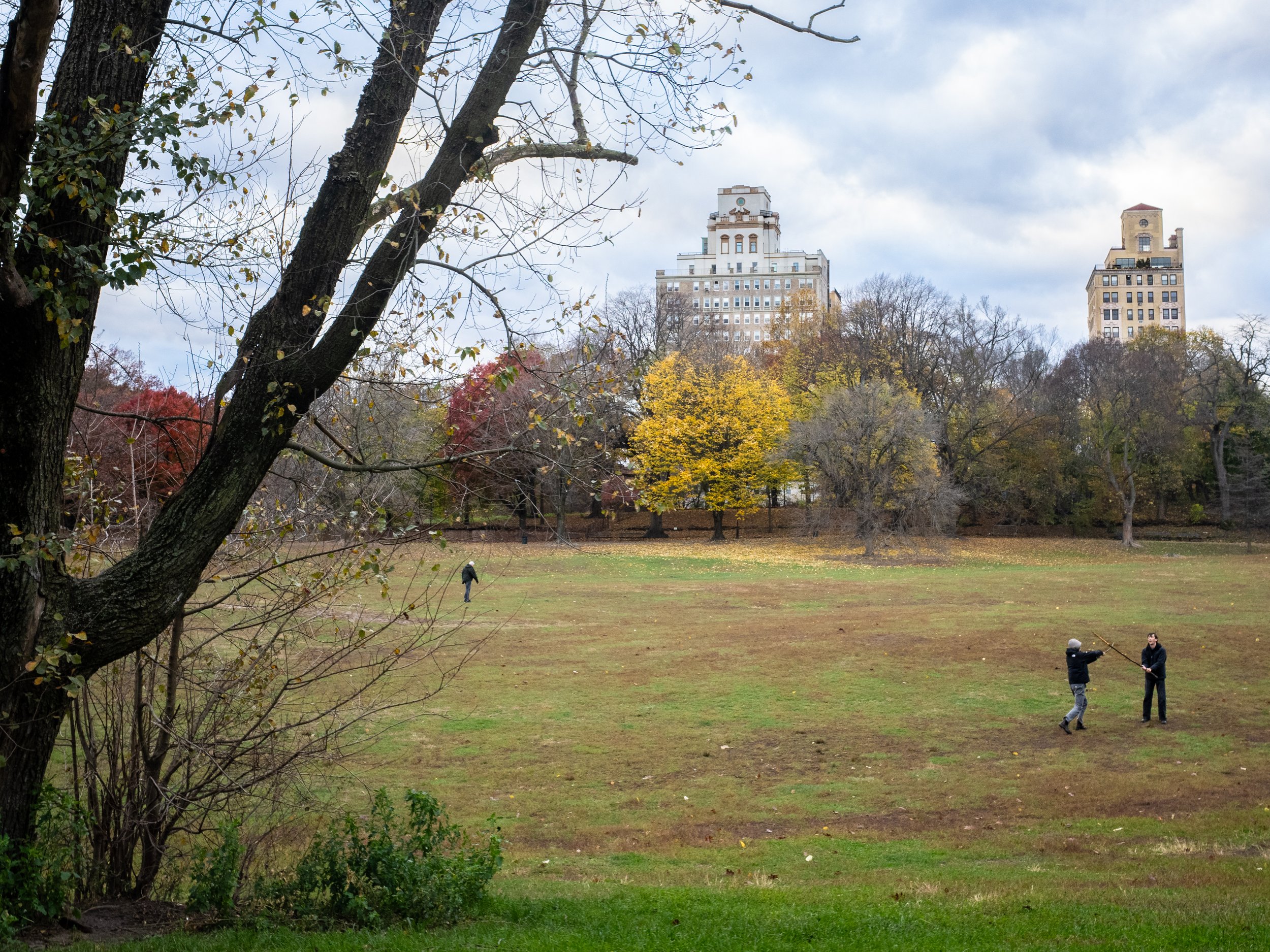  Two men duel with tree branches in Brooklyn’s Prospect Park. 